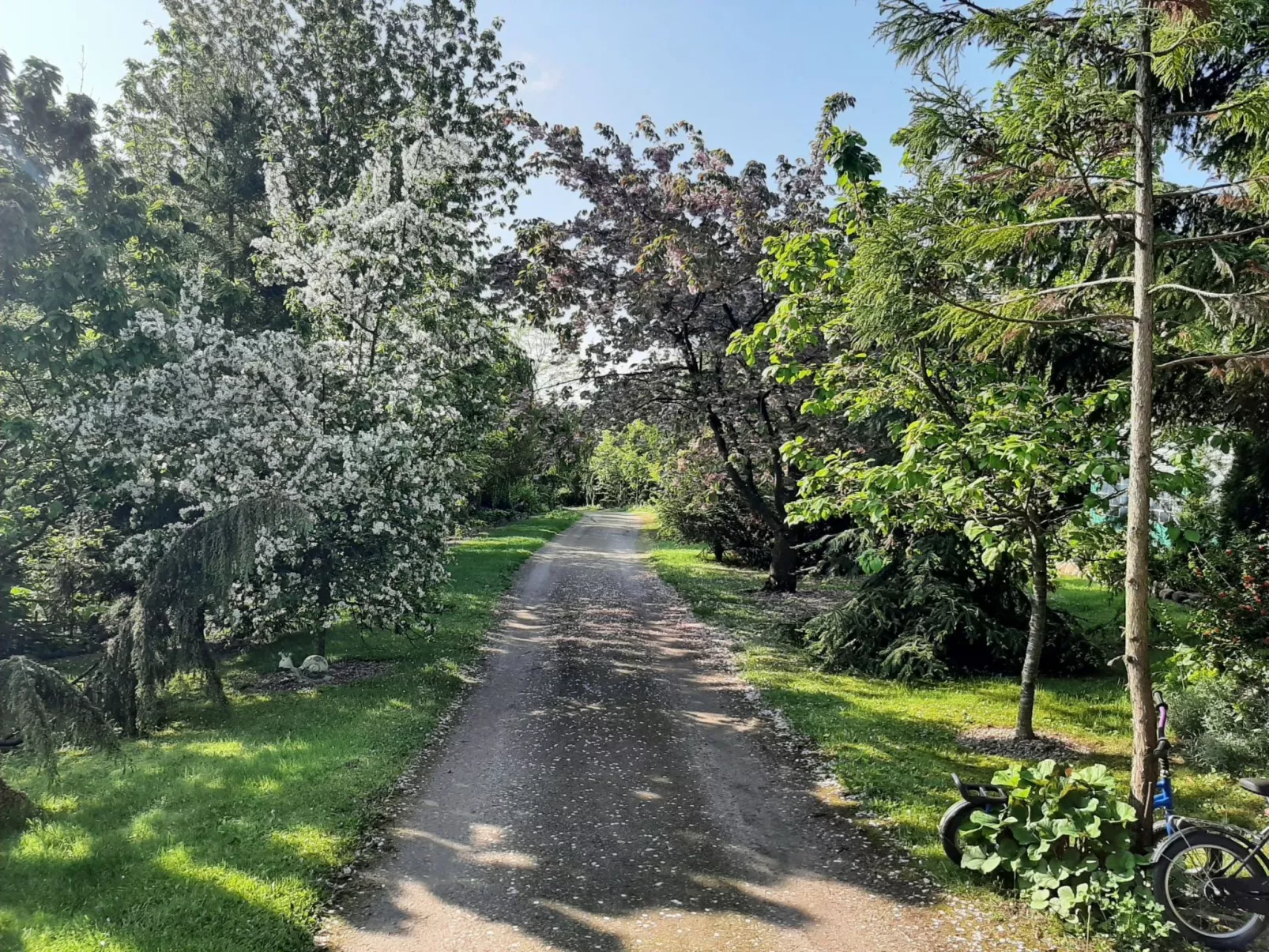 Meeresdorf Stille - Ferienhäuser in den Gärten von Magra-Draußen