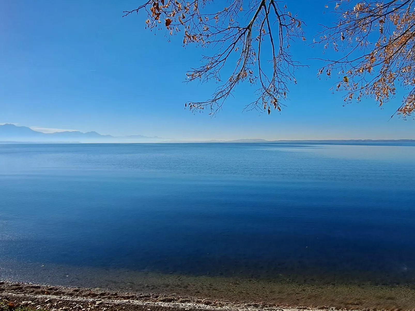 Studio Blockhaus-Outside