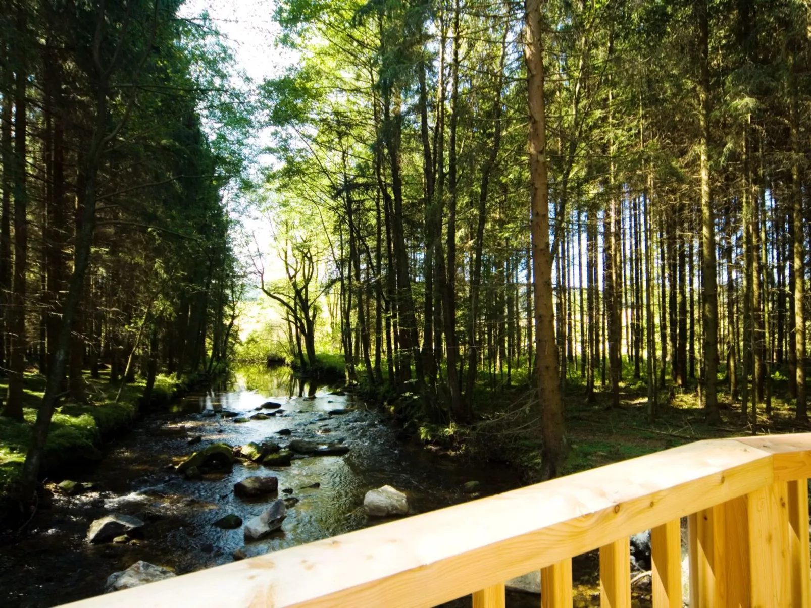 Exklusive Ferienwohnung mit eigener Sauna-Draußen