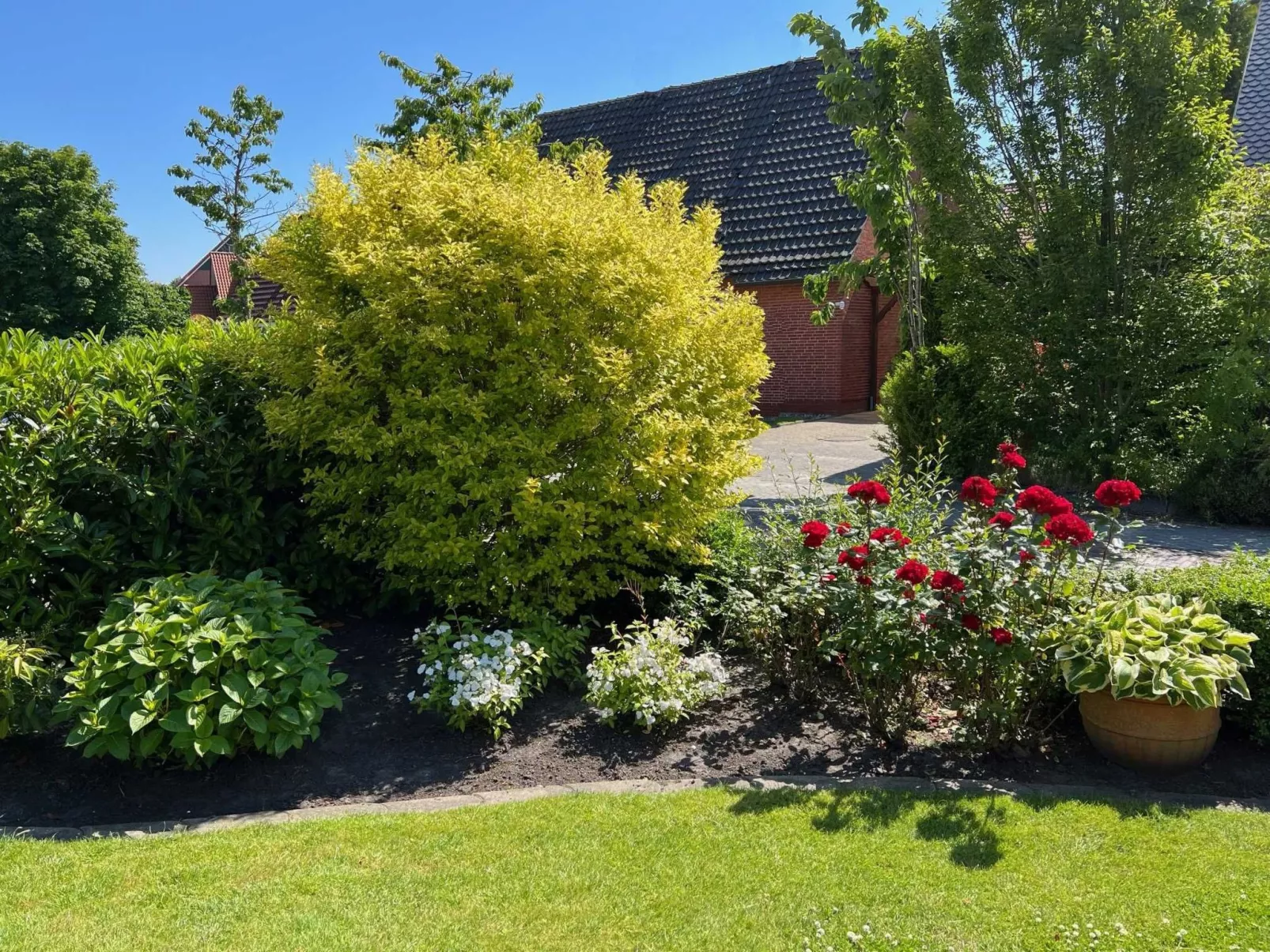 Fewo Strandnah-Draußen