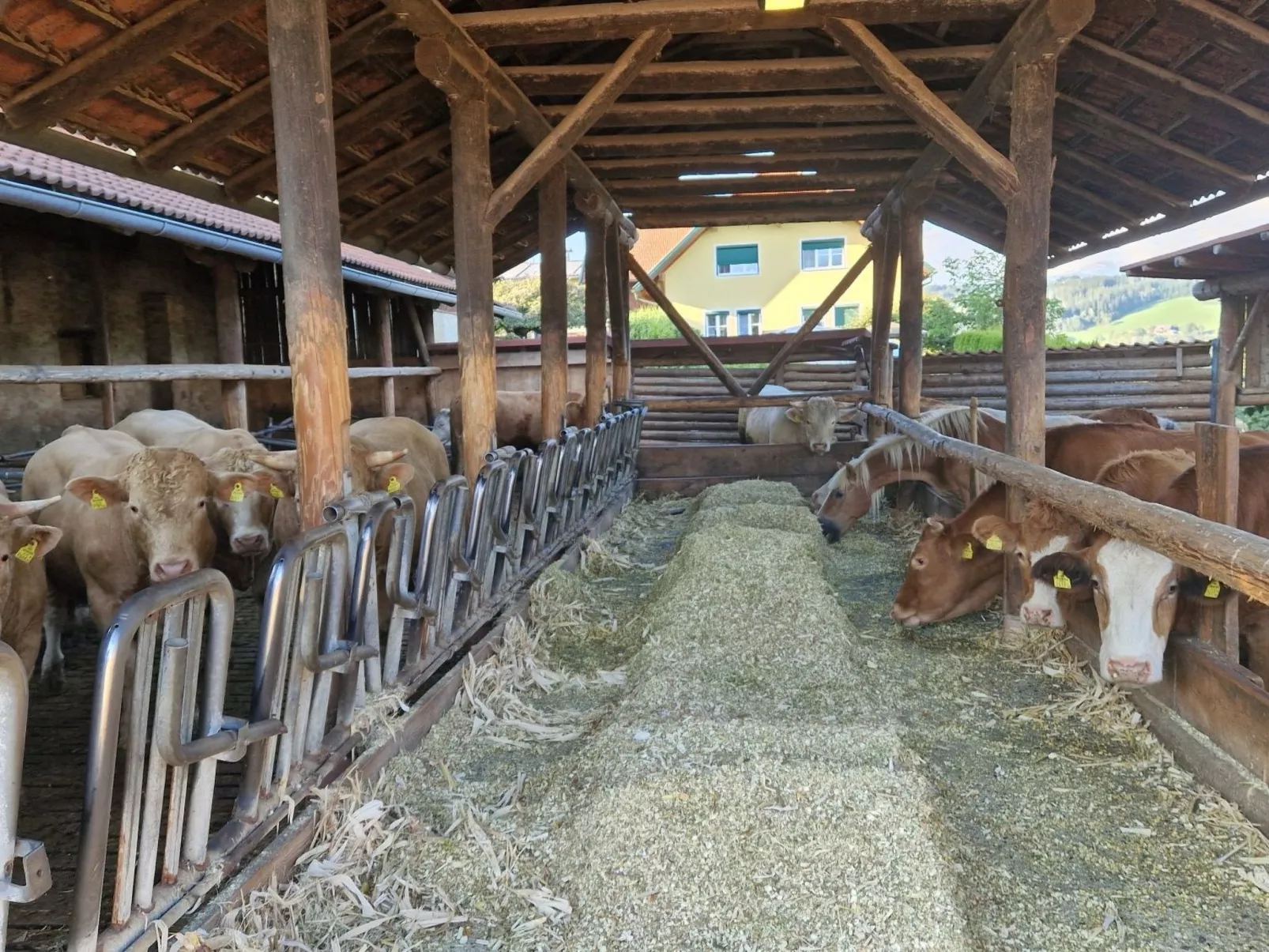 Bergbauernsuite-Outside