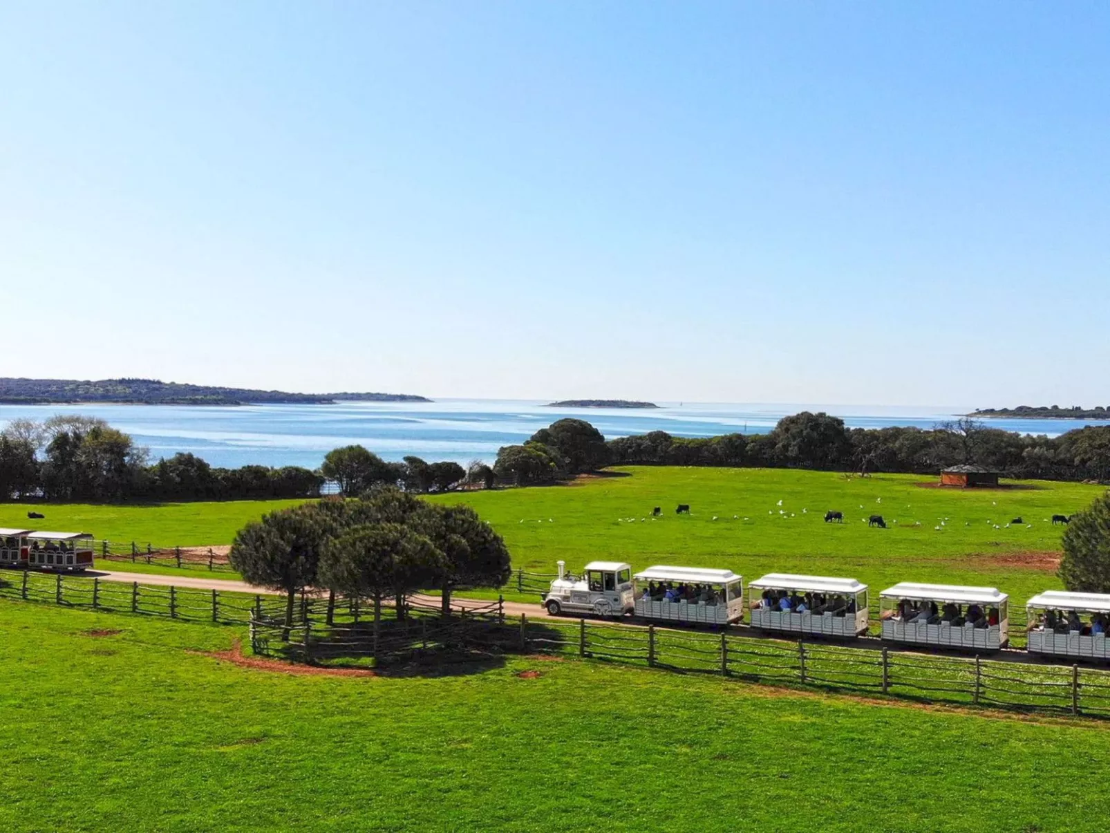 Gemütliche Ferienwohnung 5-Draußen