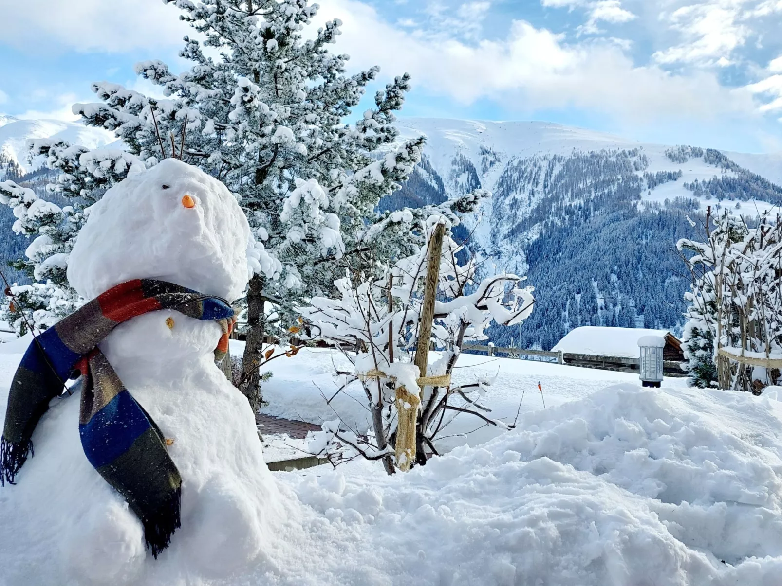 Aspa EG-Image-tags.info