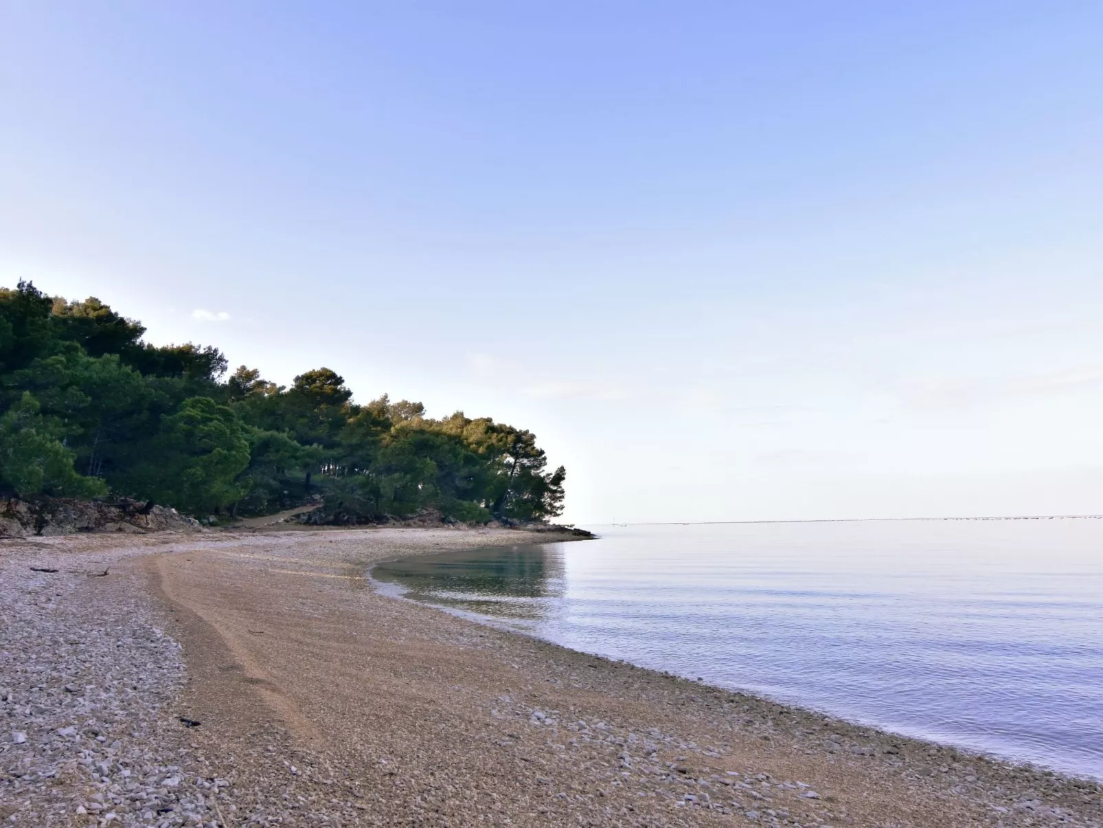 ALBINA STUDIO 5-Image-tags.info