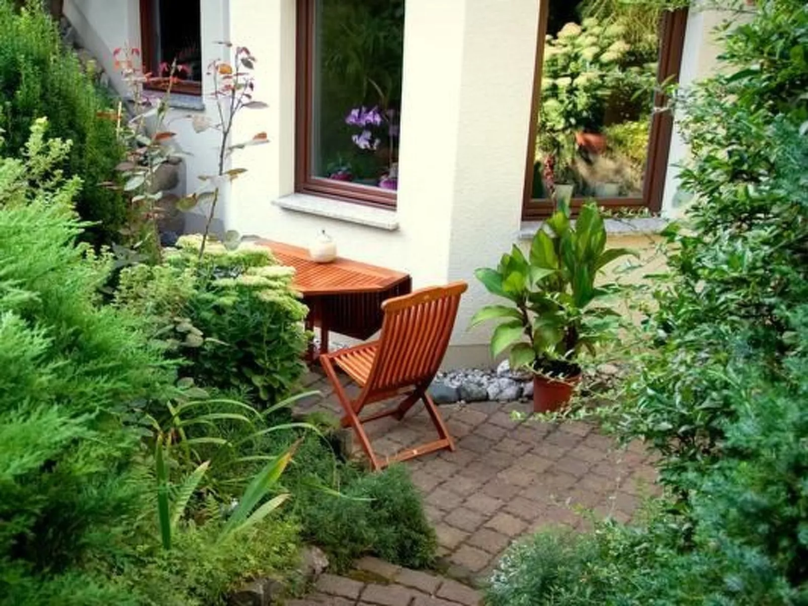 Fewo Ginkgo-Draußen