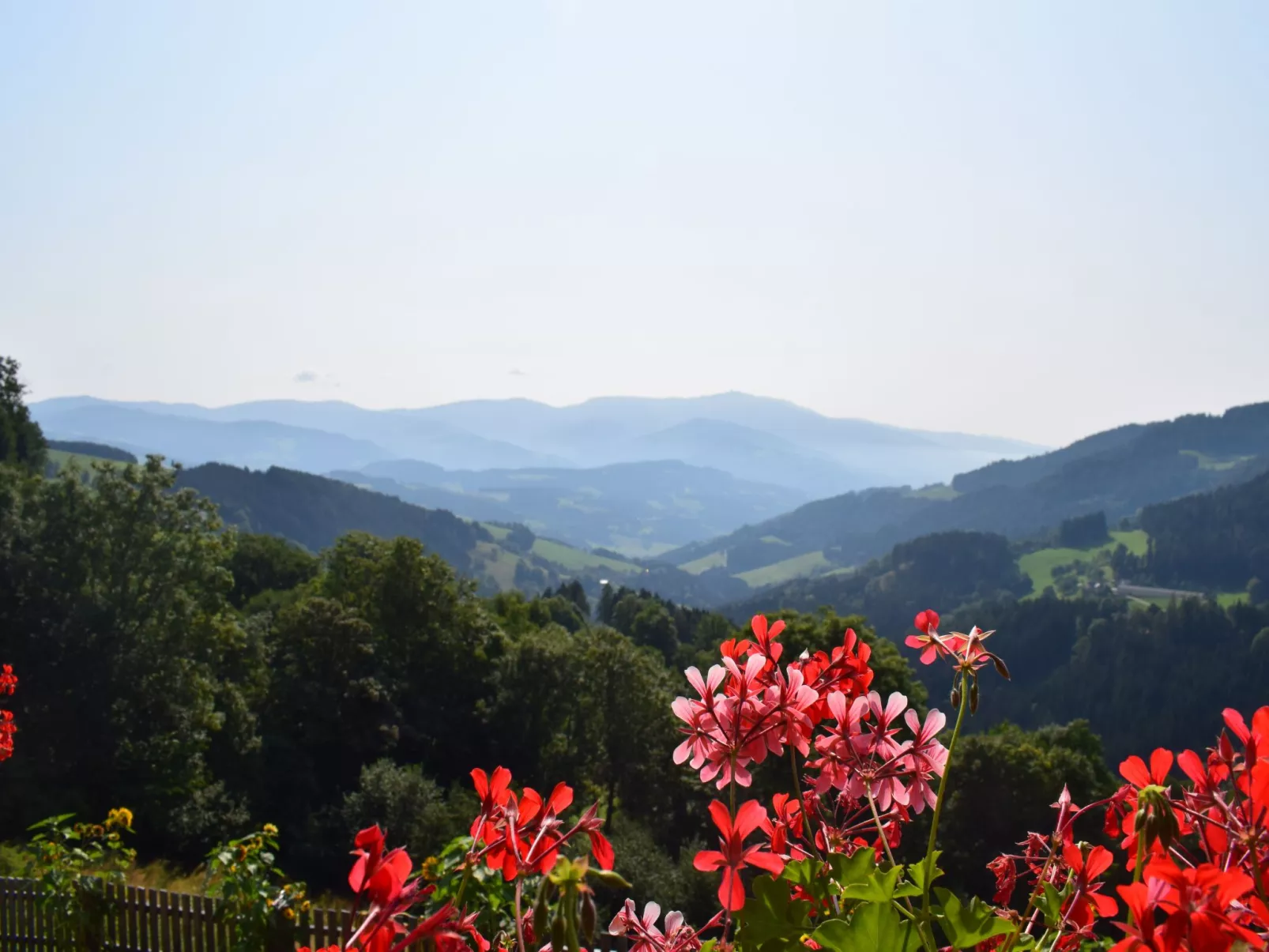 Alm-Ferienhaus-Draußen