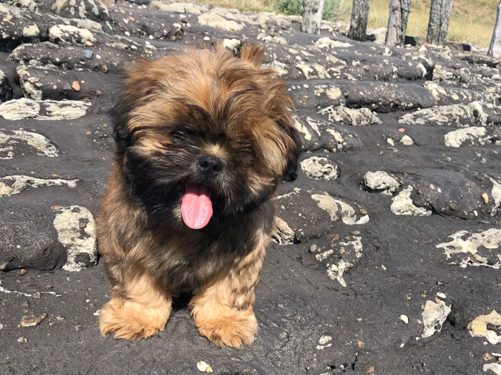 Reefhouse 47, wo es noch Platz für Ruhe gibt-Image-tags.info