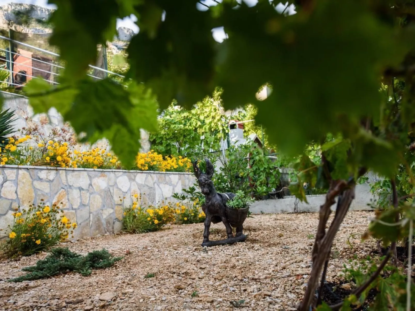 Villa Dusanka-Image-tags.info