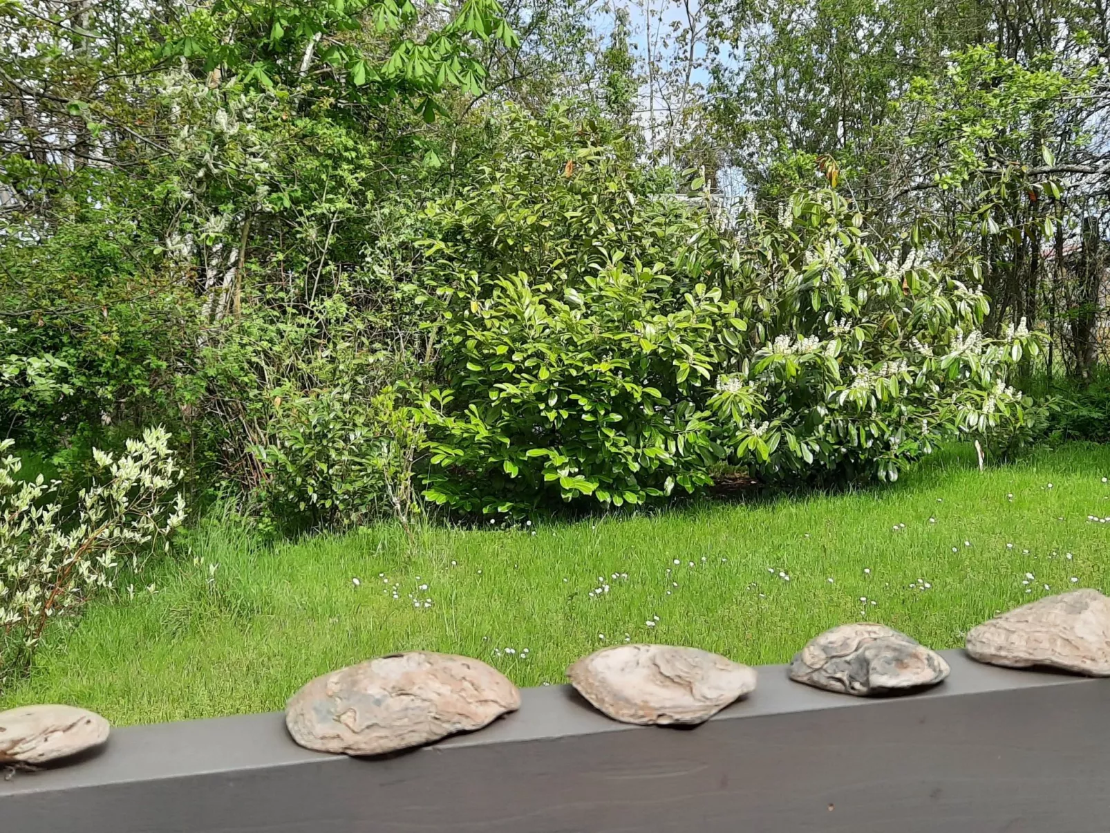 Gartenblick in Vöhl-Basdorf-Dehors