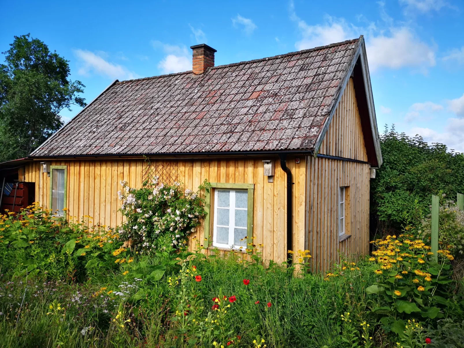 Niedliches Schwedenhaus.-Draußen