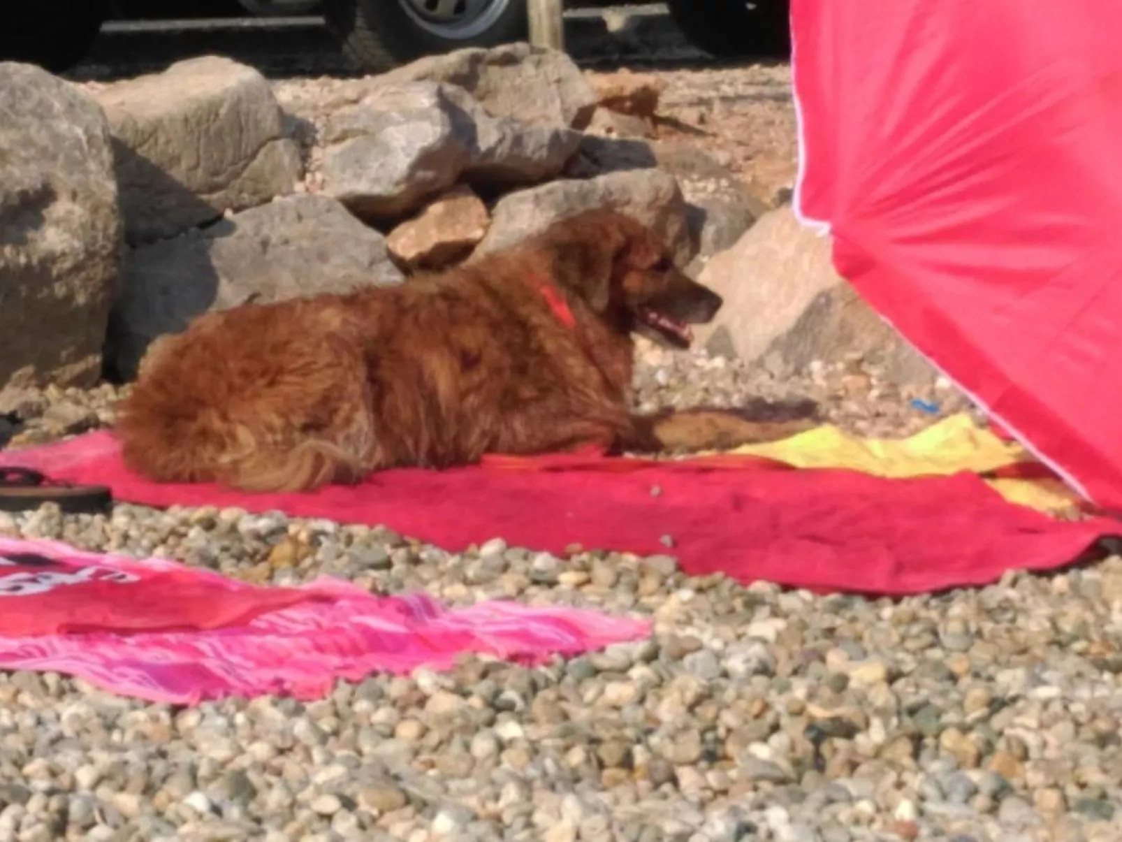 Wohnung in Rijeka mit Terrasse und Grill-Draußen