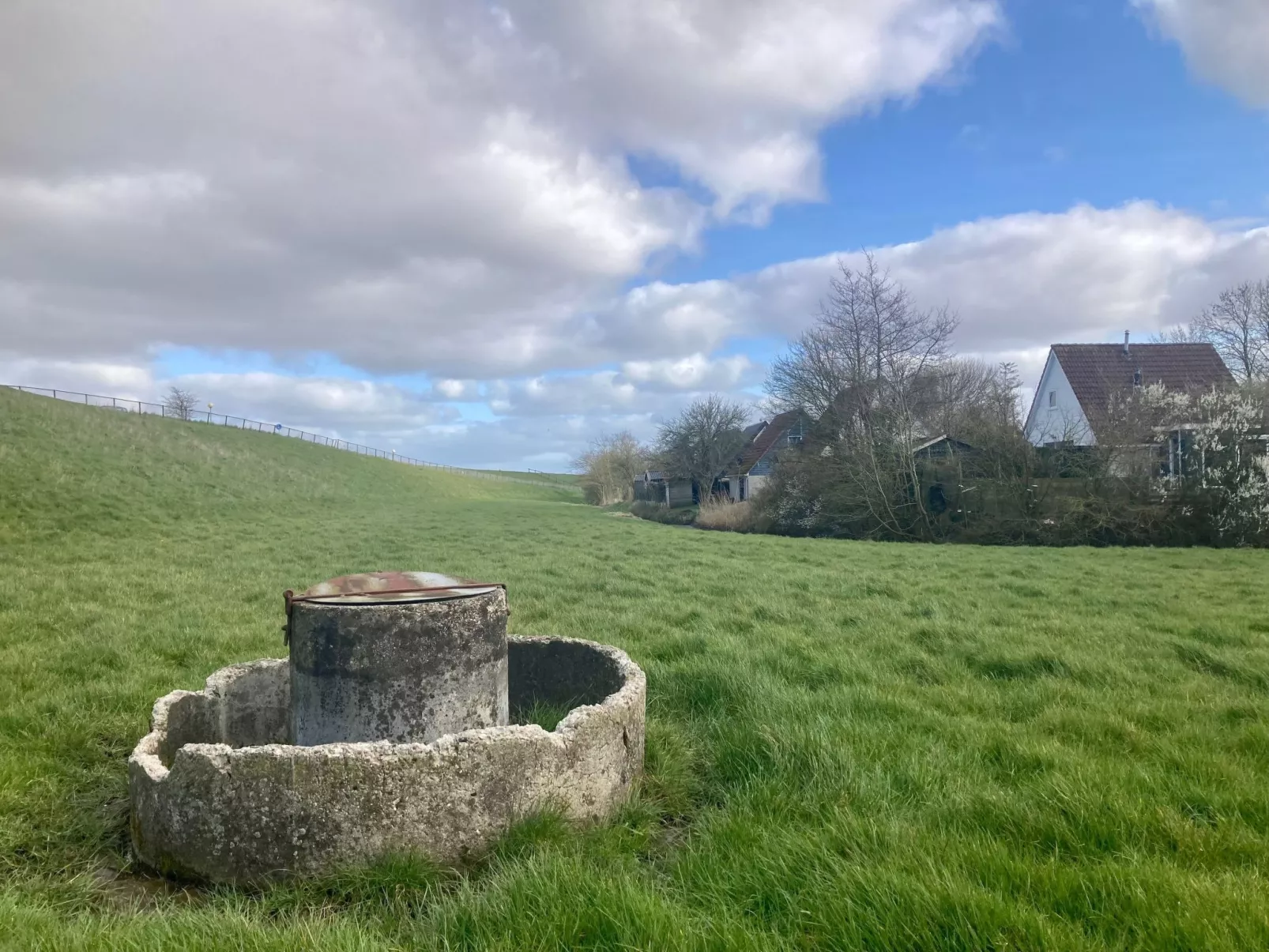 120 Dijkrose-Draußen