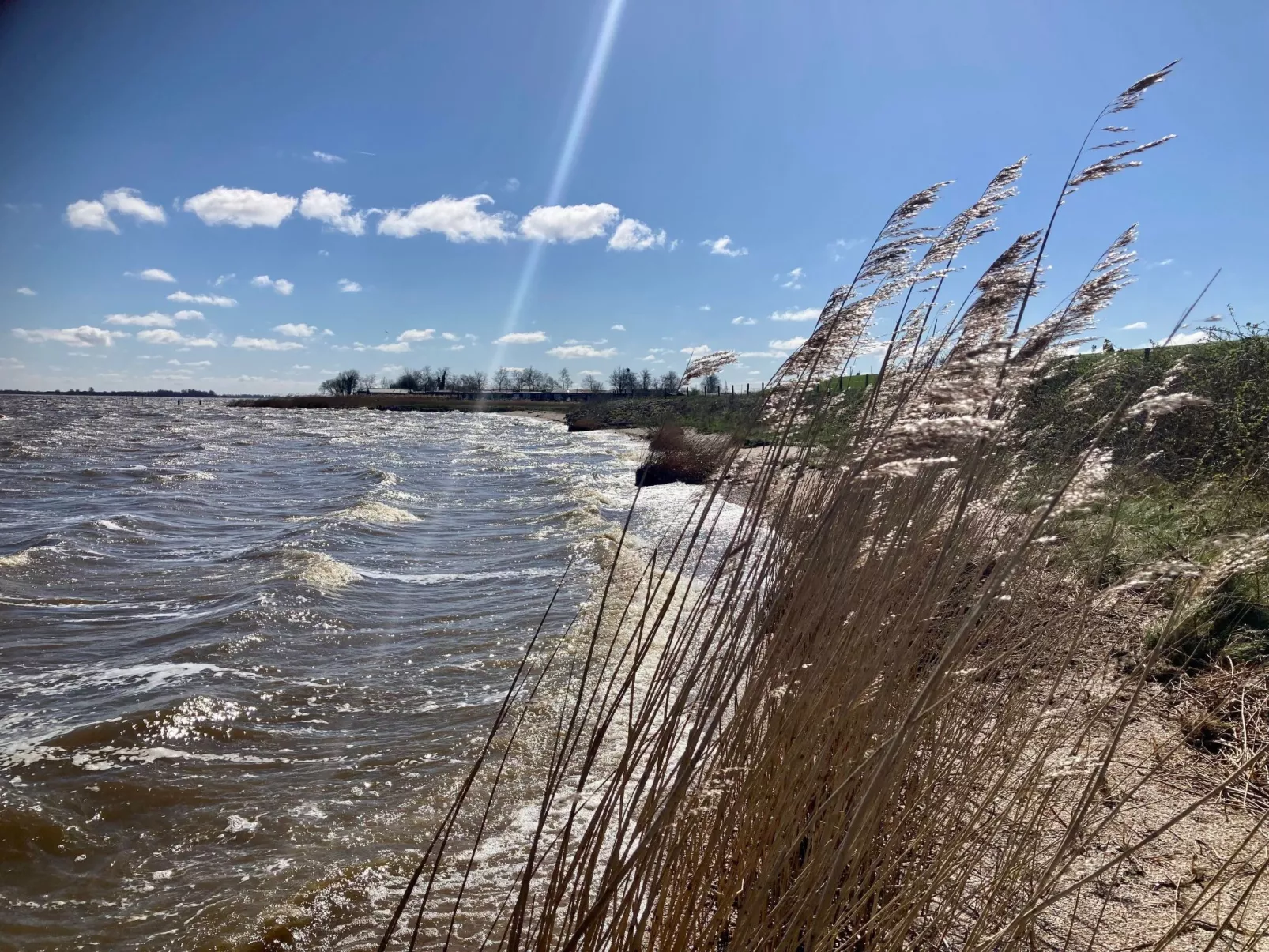Haus Sonnenschein mit Blick auf das Lauwersmeer-Outside