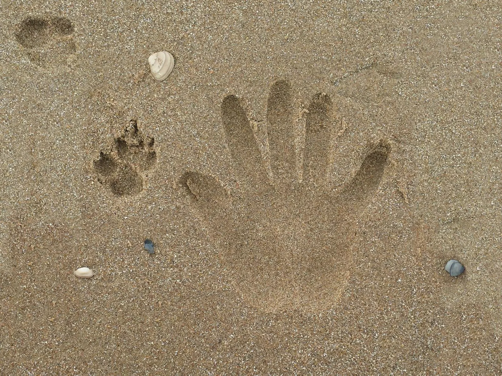 Leuchtturm-Image-tags.info