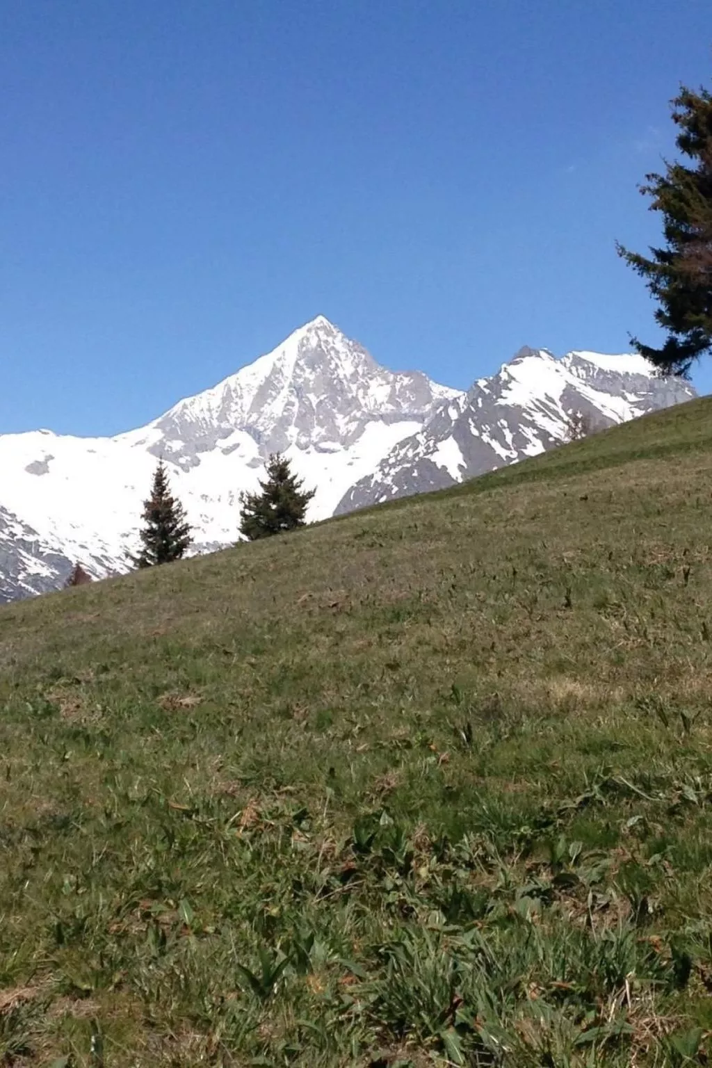 In Unterbäch-Dehors