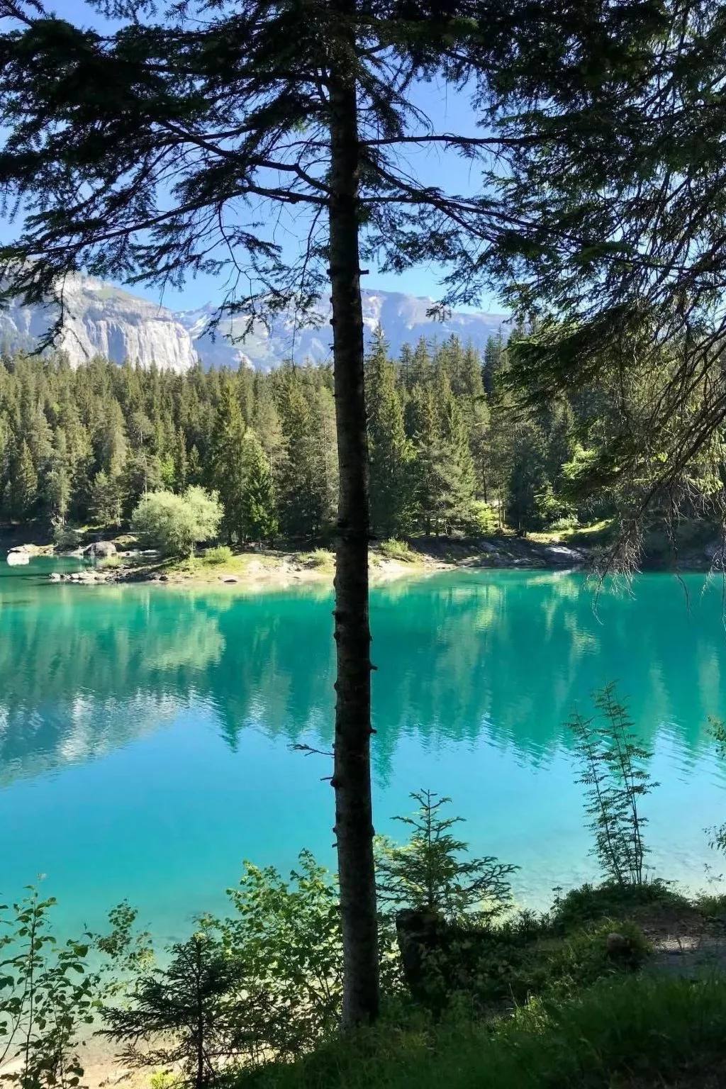 Flims Stenna SELVA direkt bei Bergbahnen Skipiste-Draußen