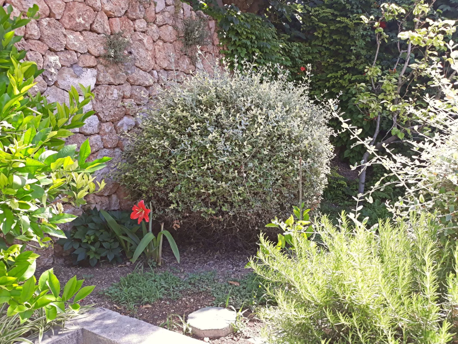 Haus am Wasser mit Blick aufs Wasser-Draußen