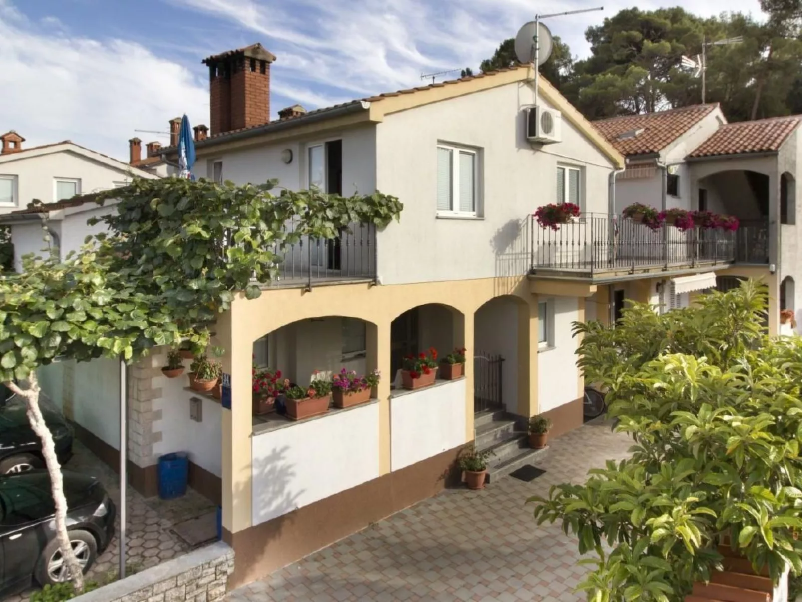 Pineta 1-Image-tags.info