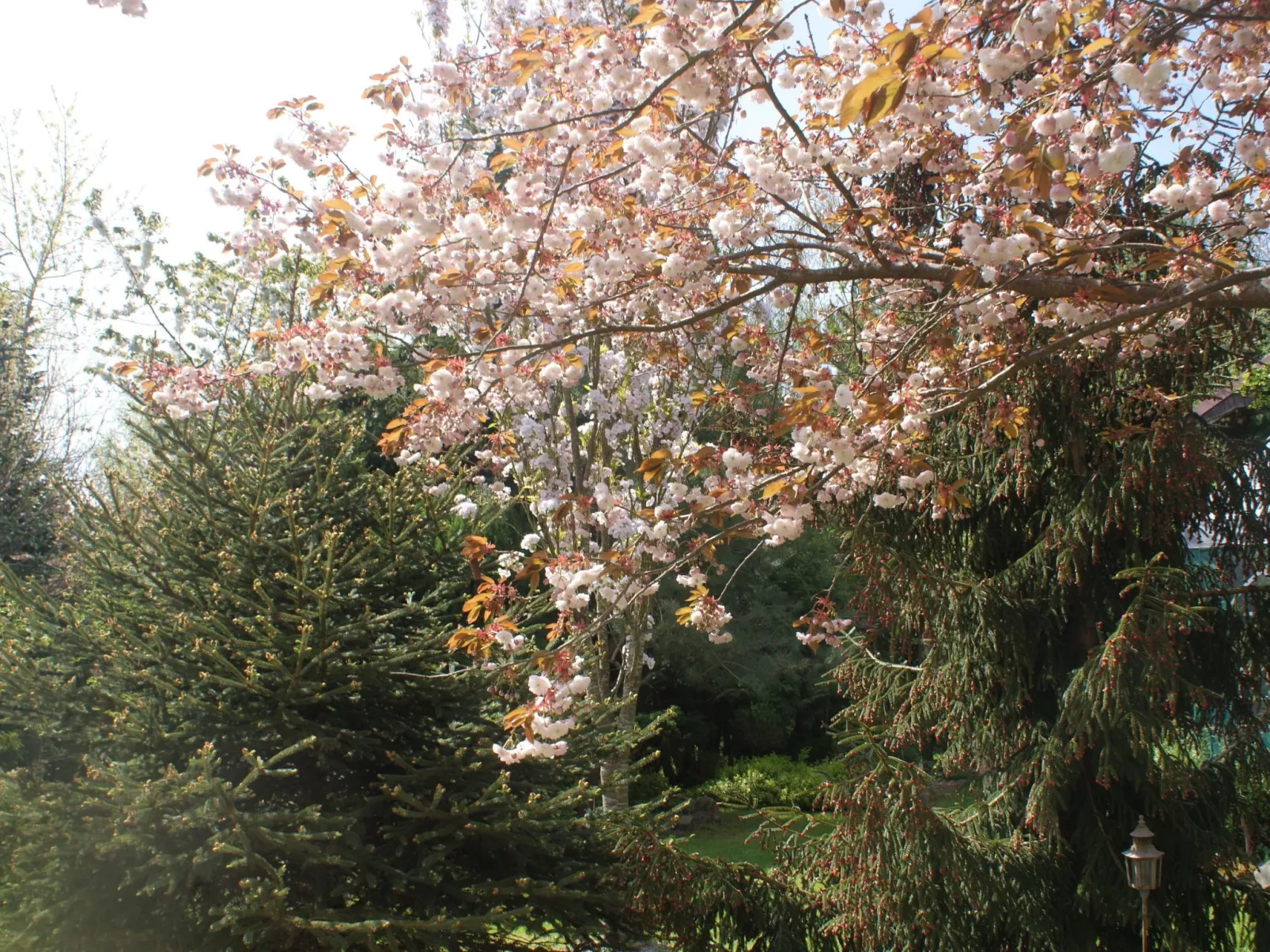 Ruhe am Meer - Ferienhäuser in den Gärten von Magra-Draußen
