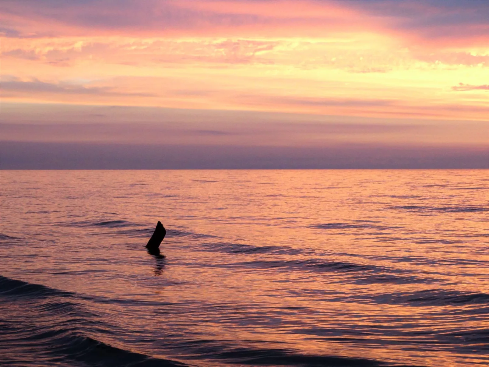 Holzferienhaus Grazyna-Outside