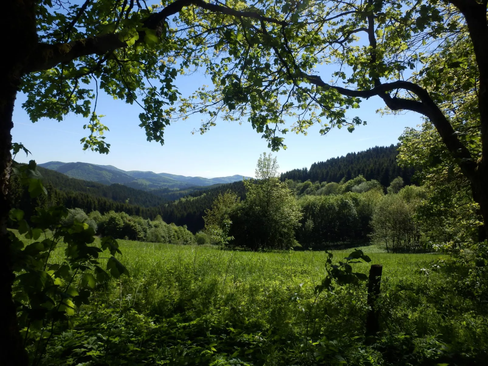 Mit privatem Balkon-Draußen