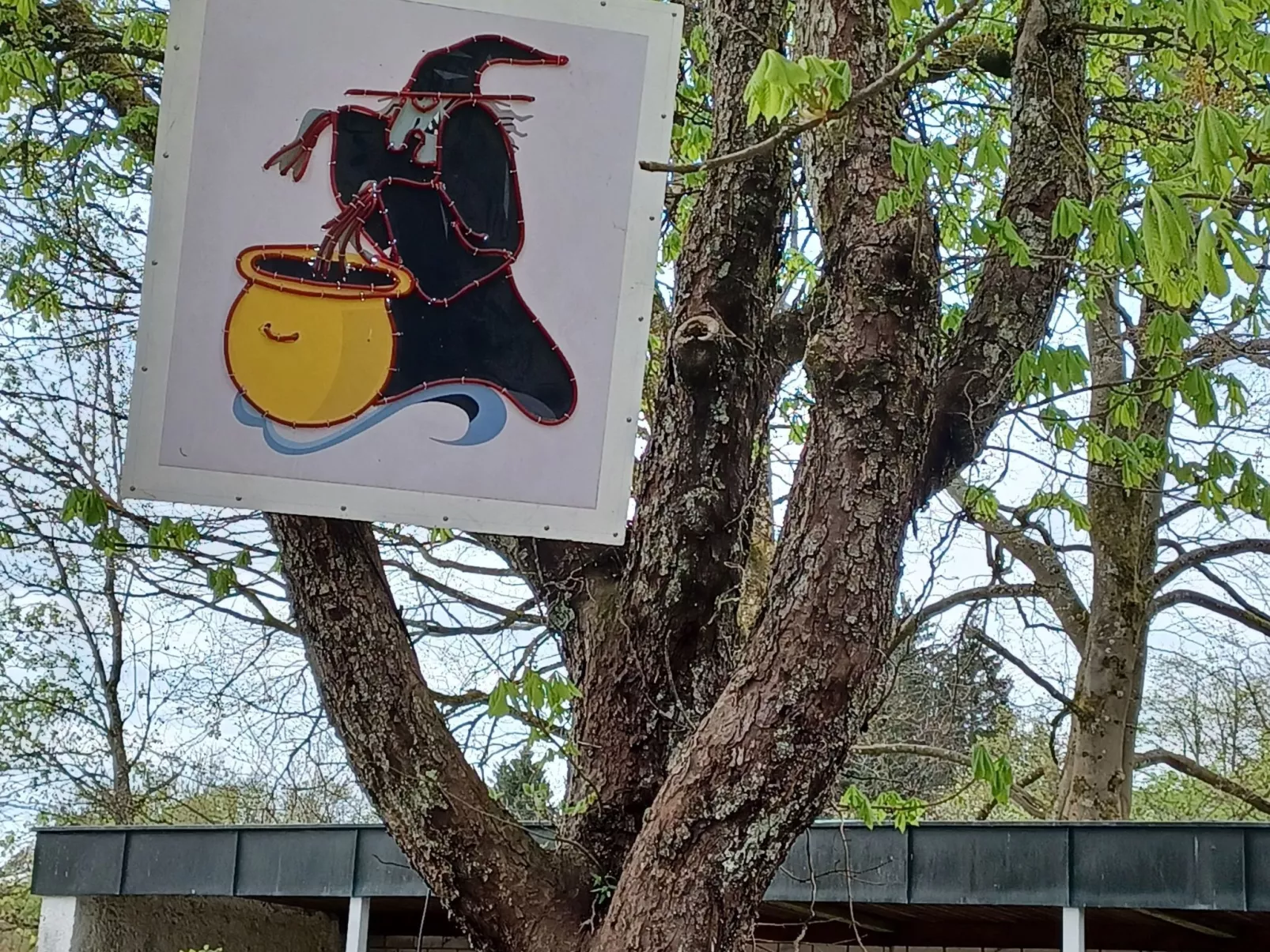 Burgi EG Hahnenklee-Dehors