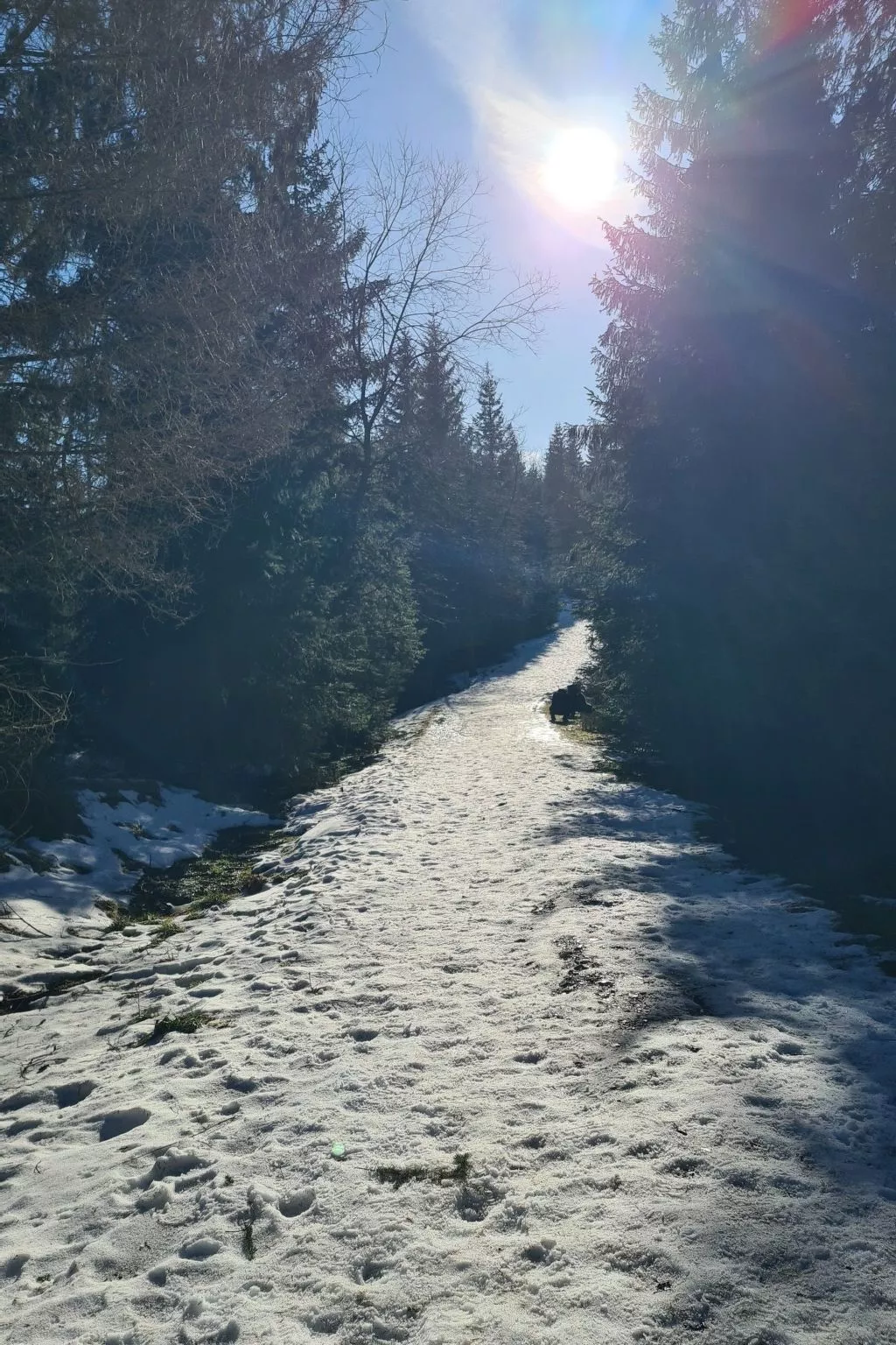 Fewo Jola 99952-Image-tags.info