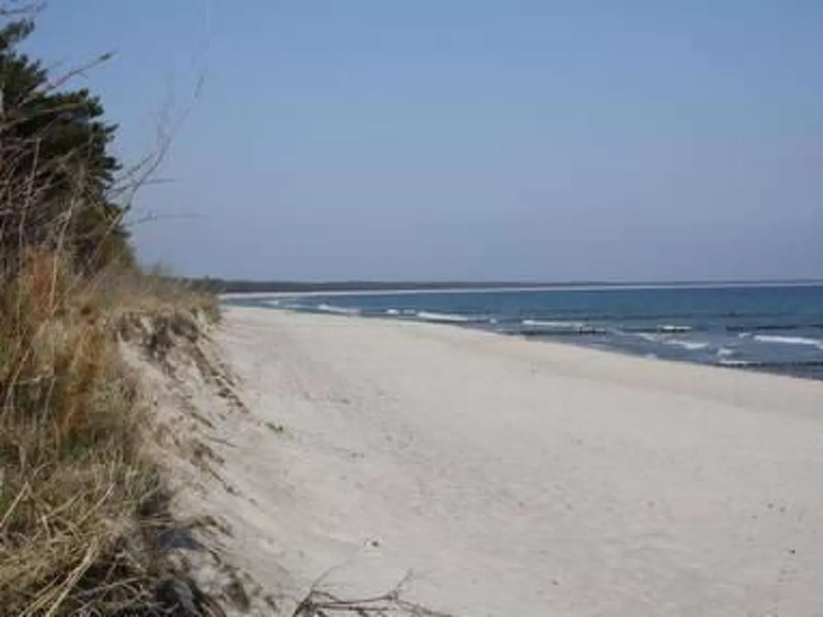 Annette-Image-tags.info