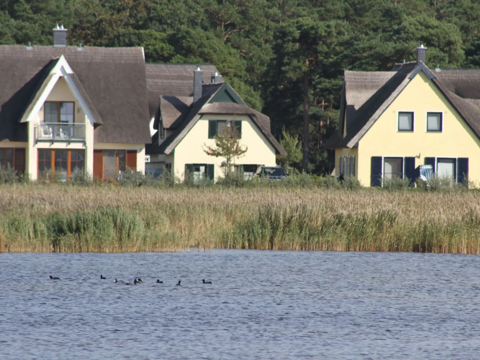 Reethaus Strandvogt-Dehors