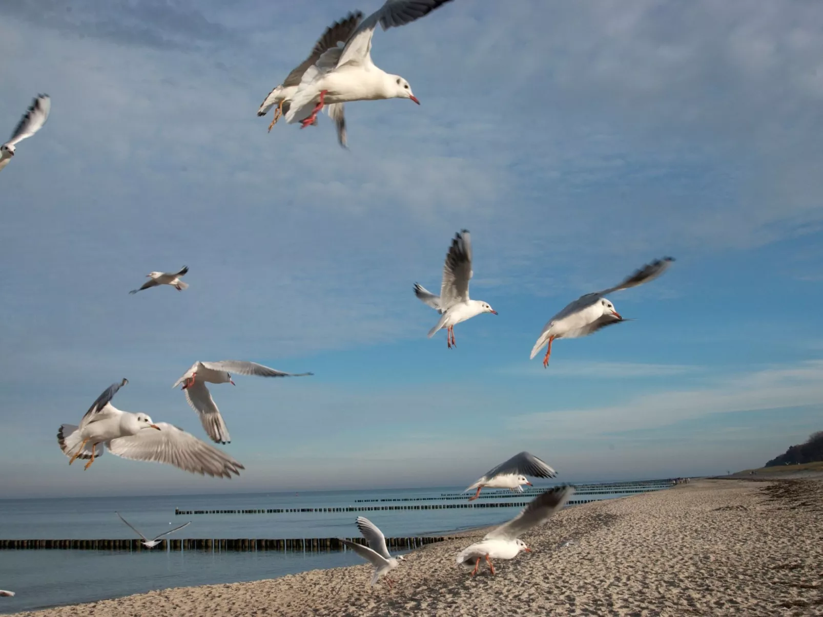 Admiral's Cor. Gulet-Draußen