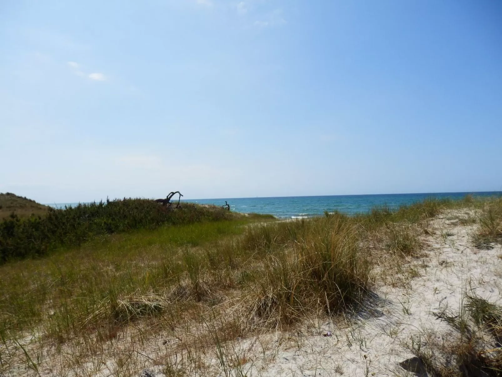 Wohnung Stall-Draußen