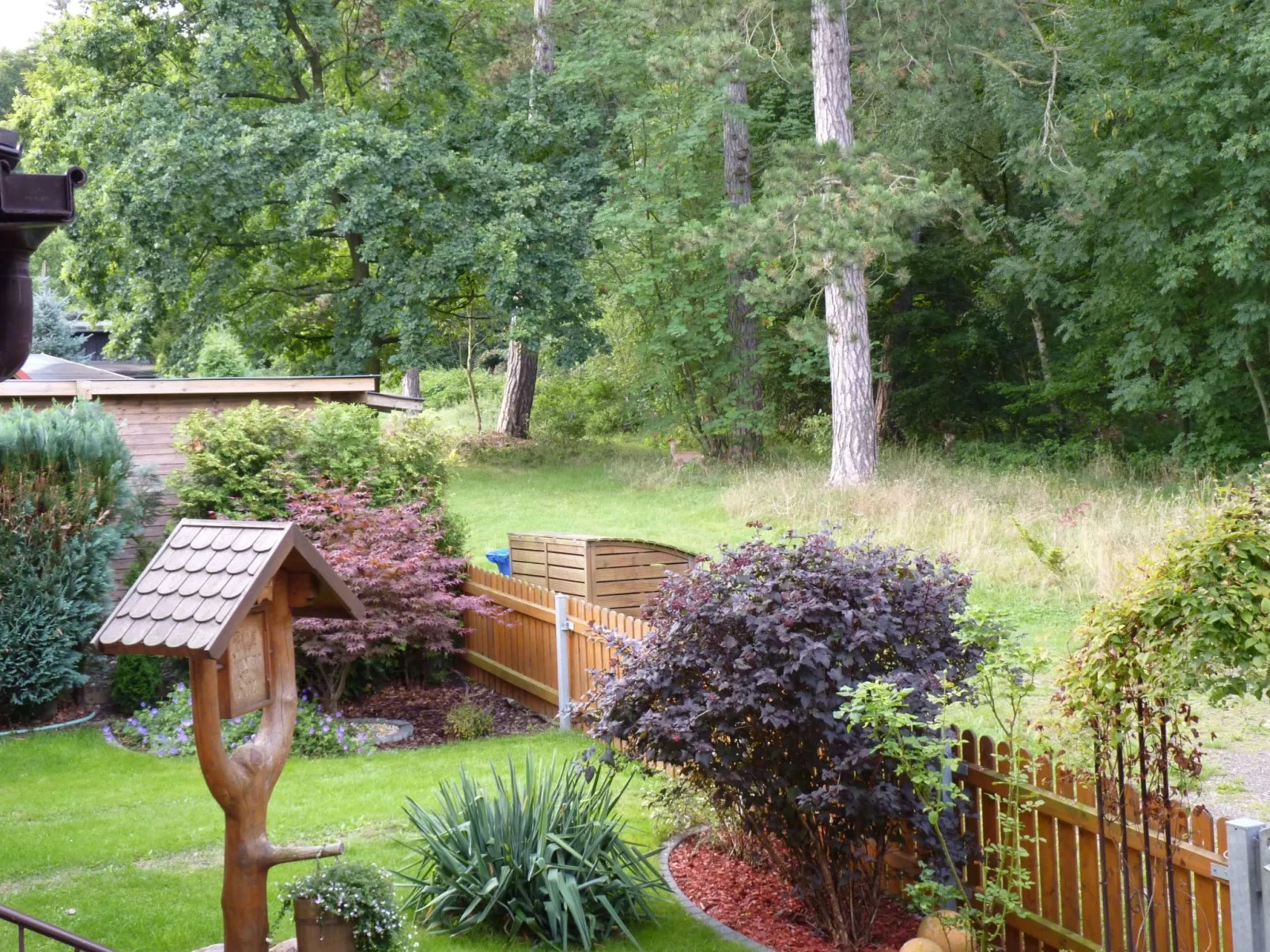 Gemütliches Appartement in Ottenhai mit Grill-Dehors