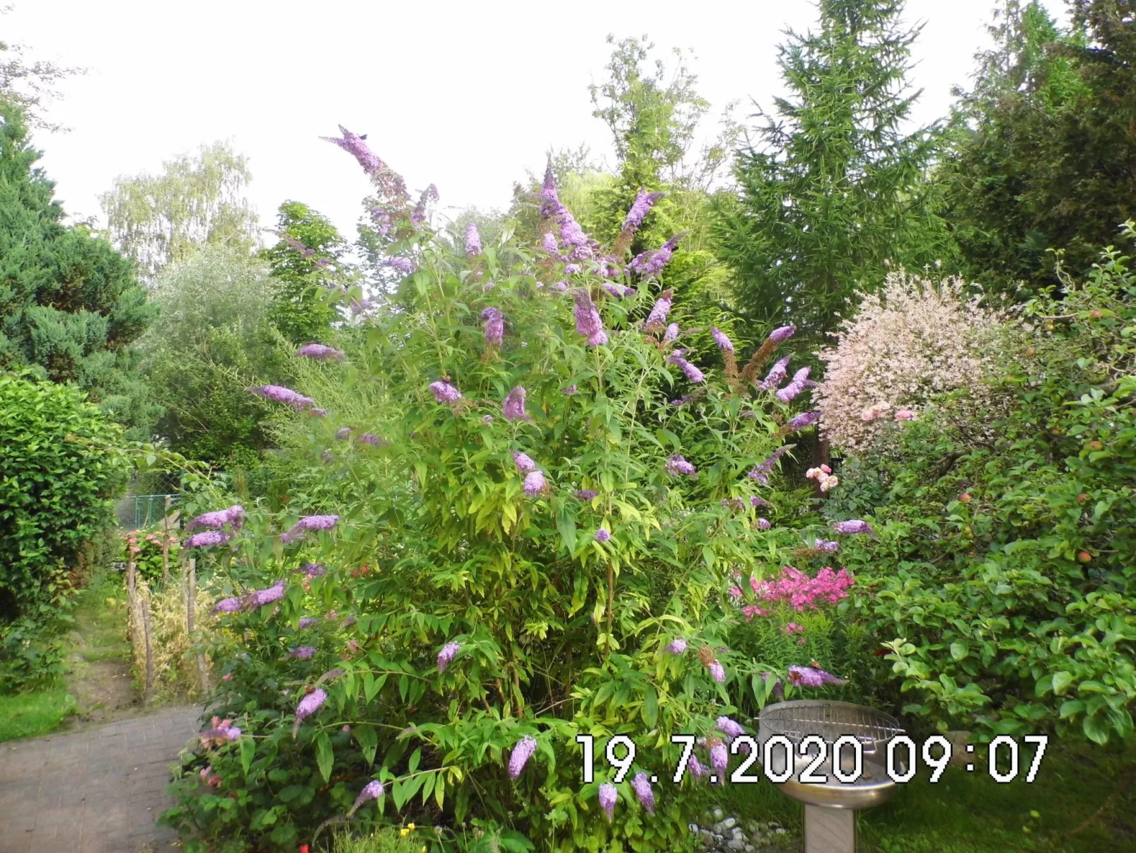 Am malerischen Nepperminer See-Outside