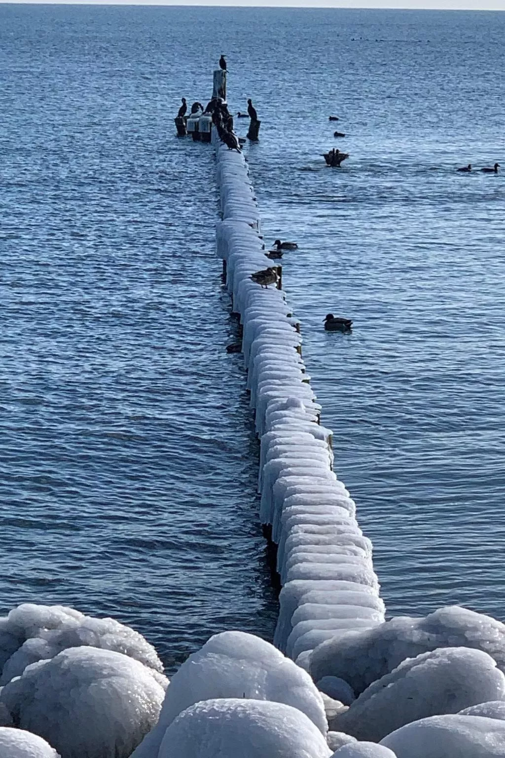 Wohnung in Strandnähe mit Sauna und Kamin - Image-tags.info