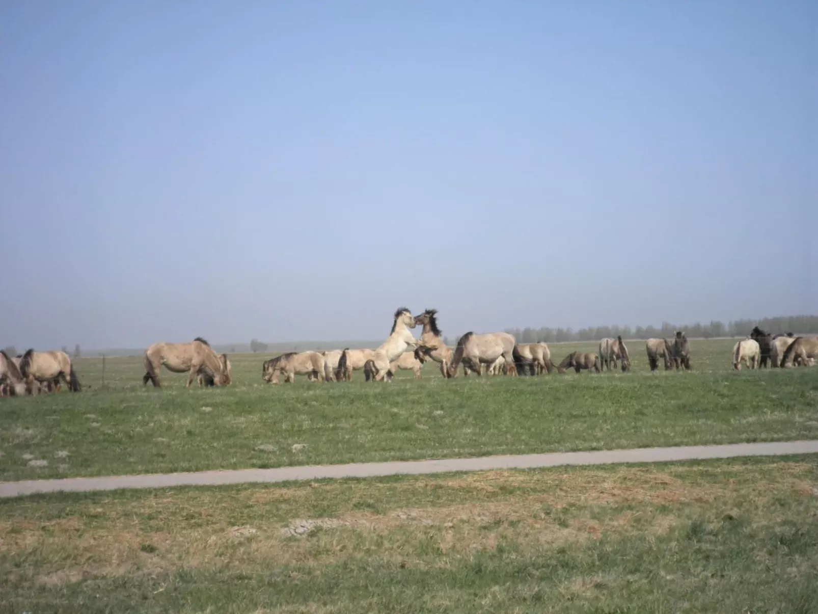 Ruhiges Ferienhaus mit großer offener Küche-Image-tags.info