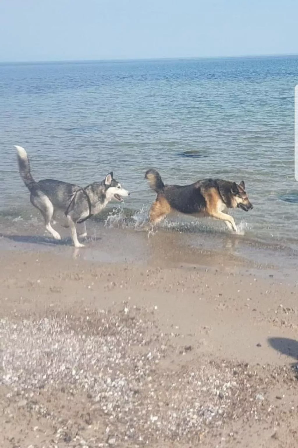 Alcudia - Image-tags.info