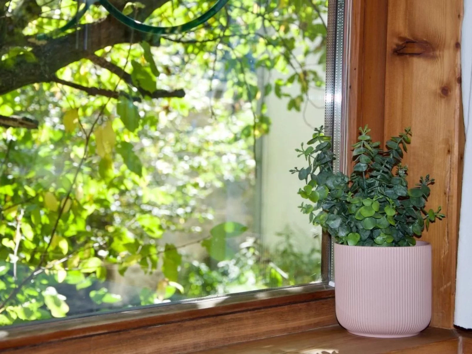 The Green Room-Inside