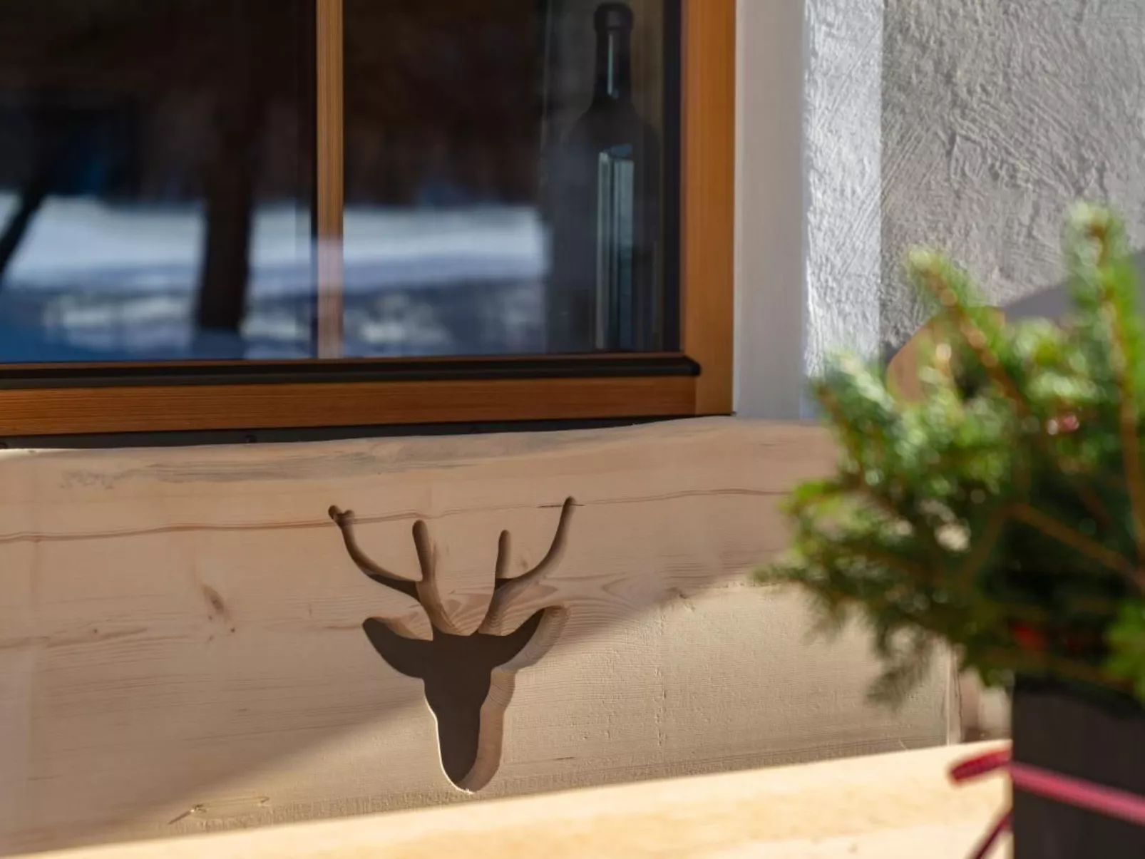 Engadin Chalet Apart-Outside