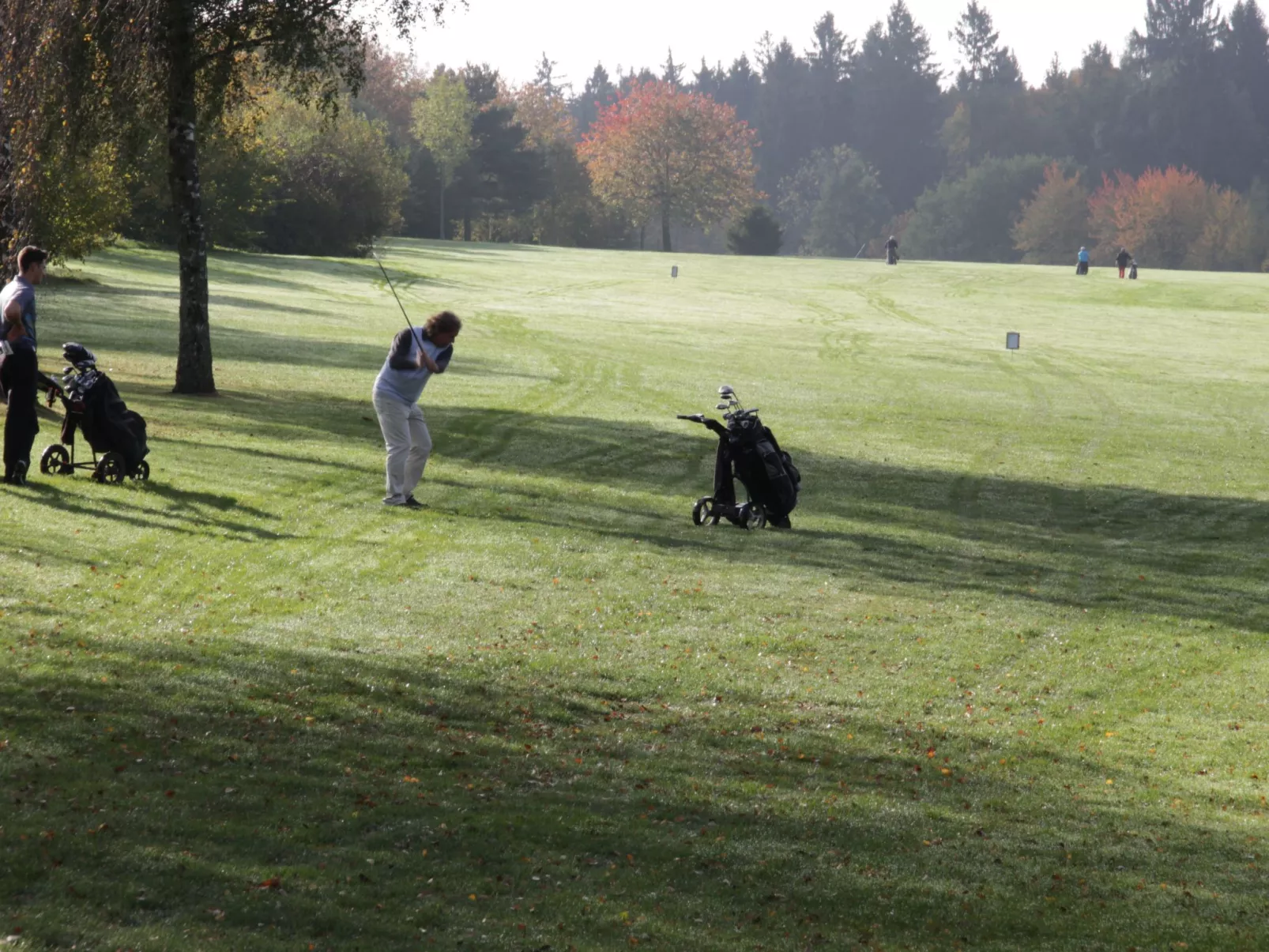 BärenNest Haus-Image-tags.info