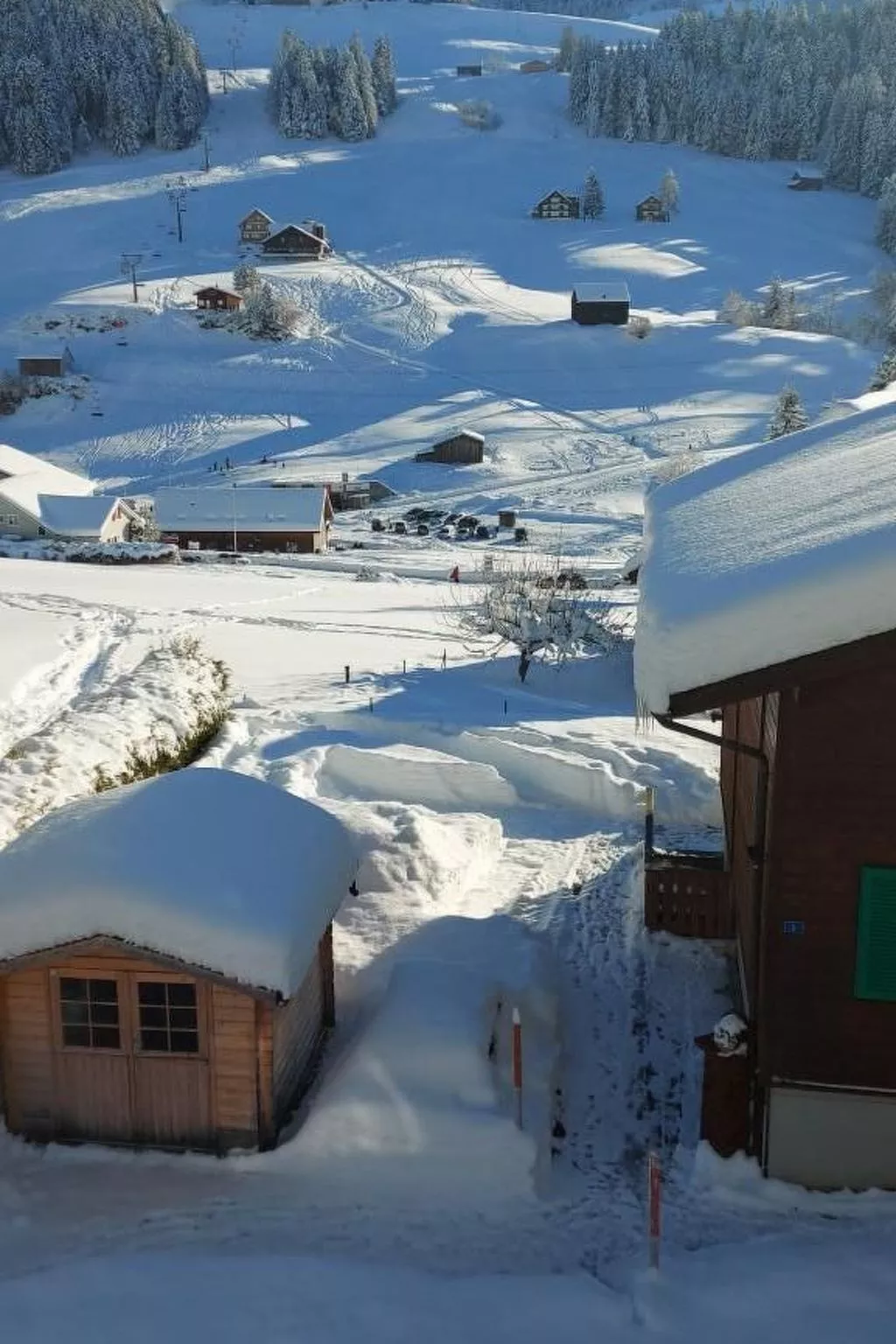 Studio Friedegg-Image-tags.info