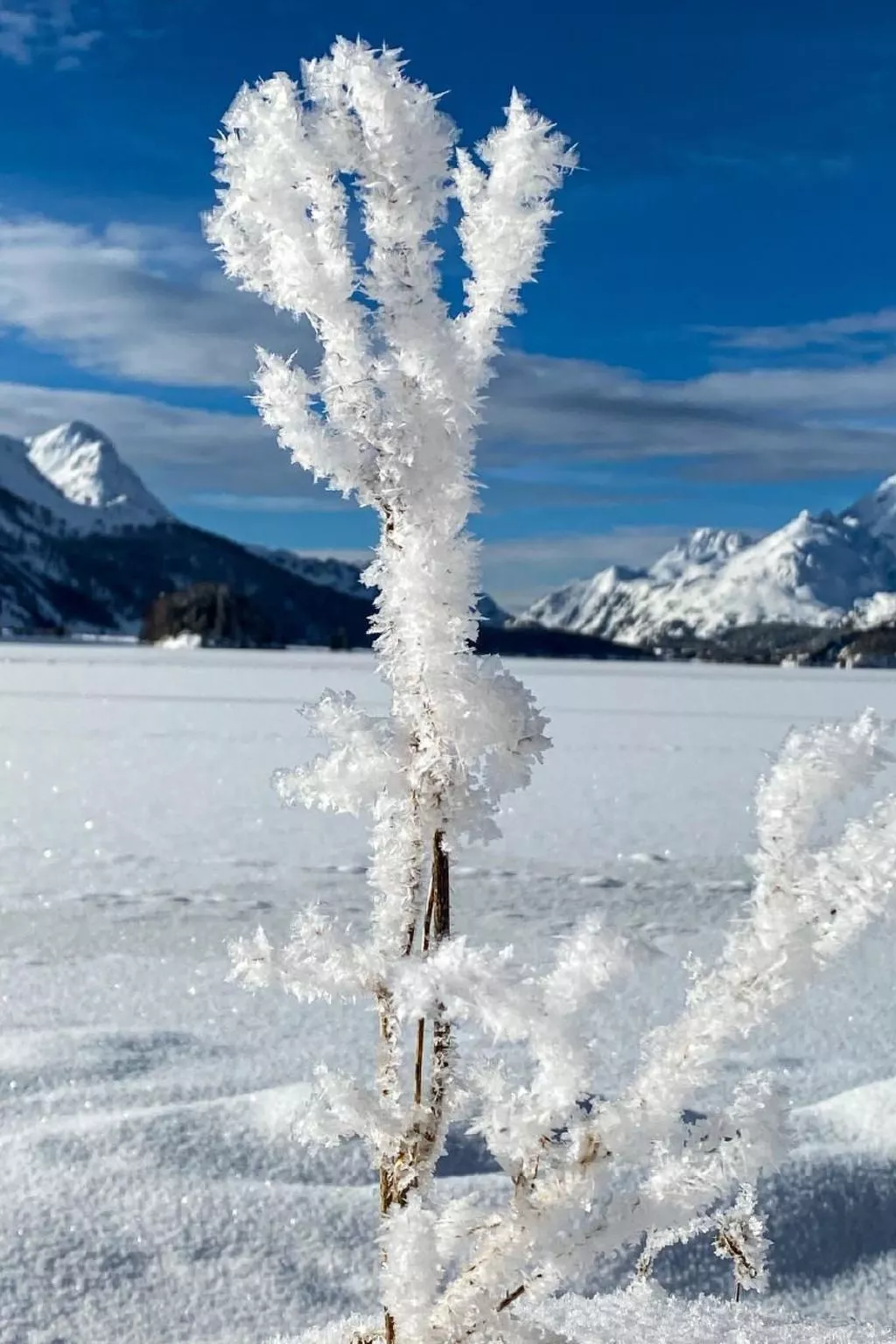 Maisonette Alpenrose-Draußen