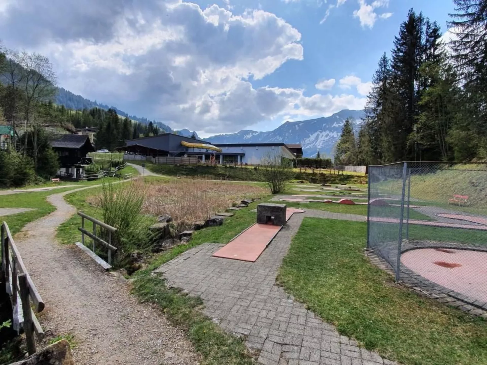 Kolibri Hochparterre-Image-tags.info