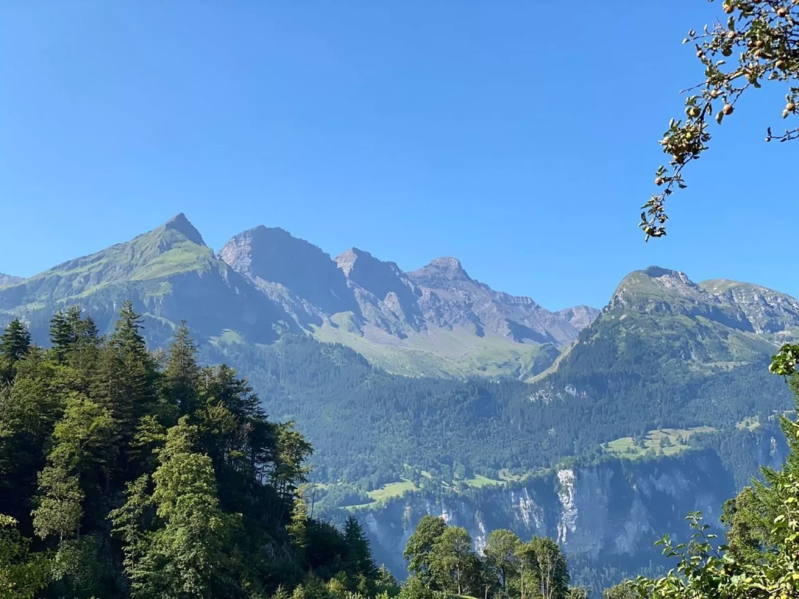 Chalet Brünig, Apartment Wandelhorn-Outside