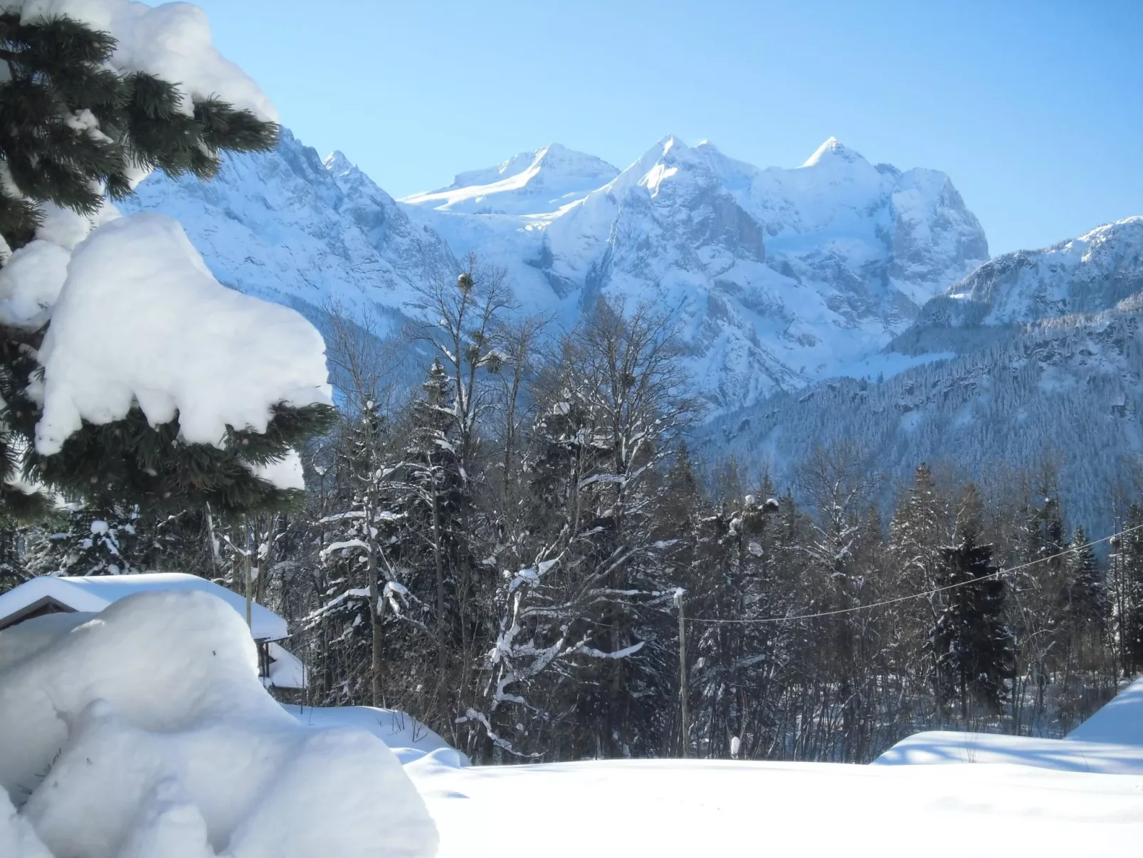 FeWo Zenger-Jossi-Dehors