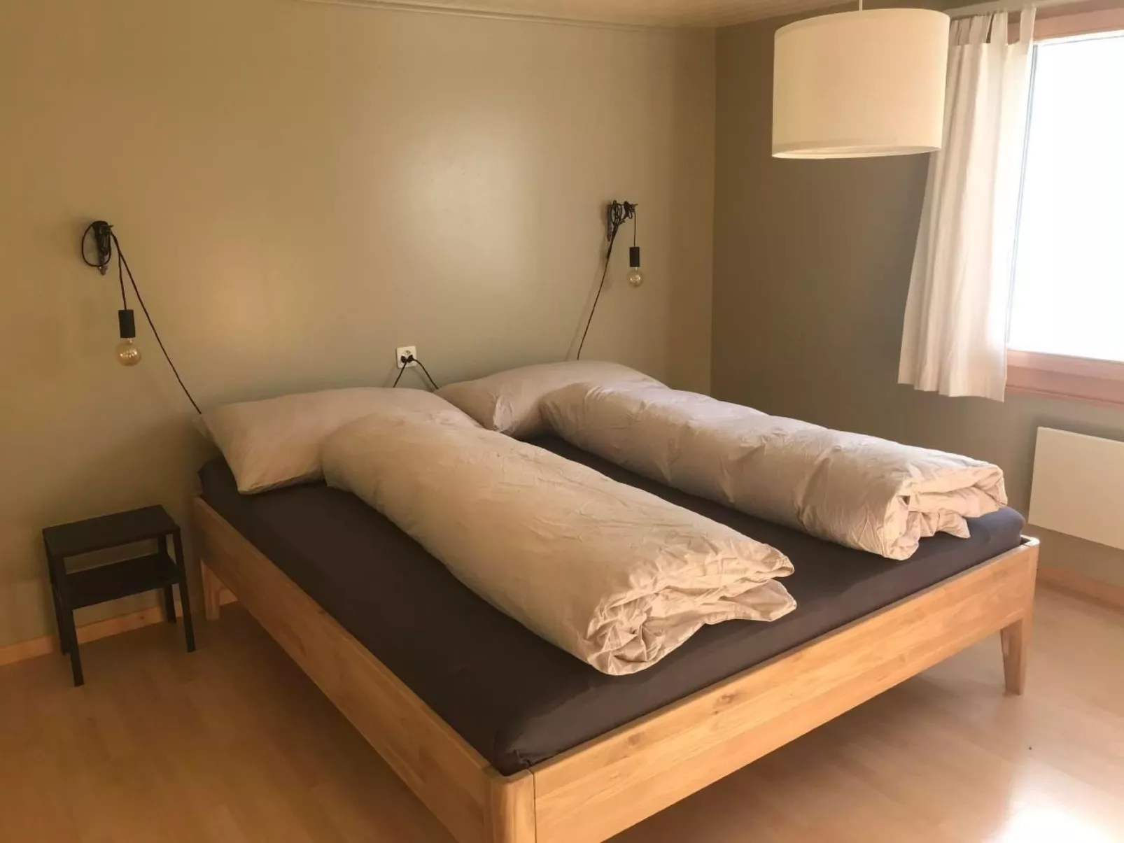 Soldanella-Image-tags.info