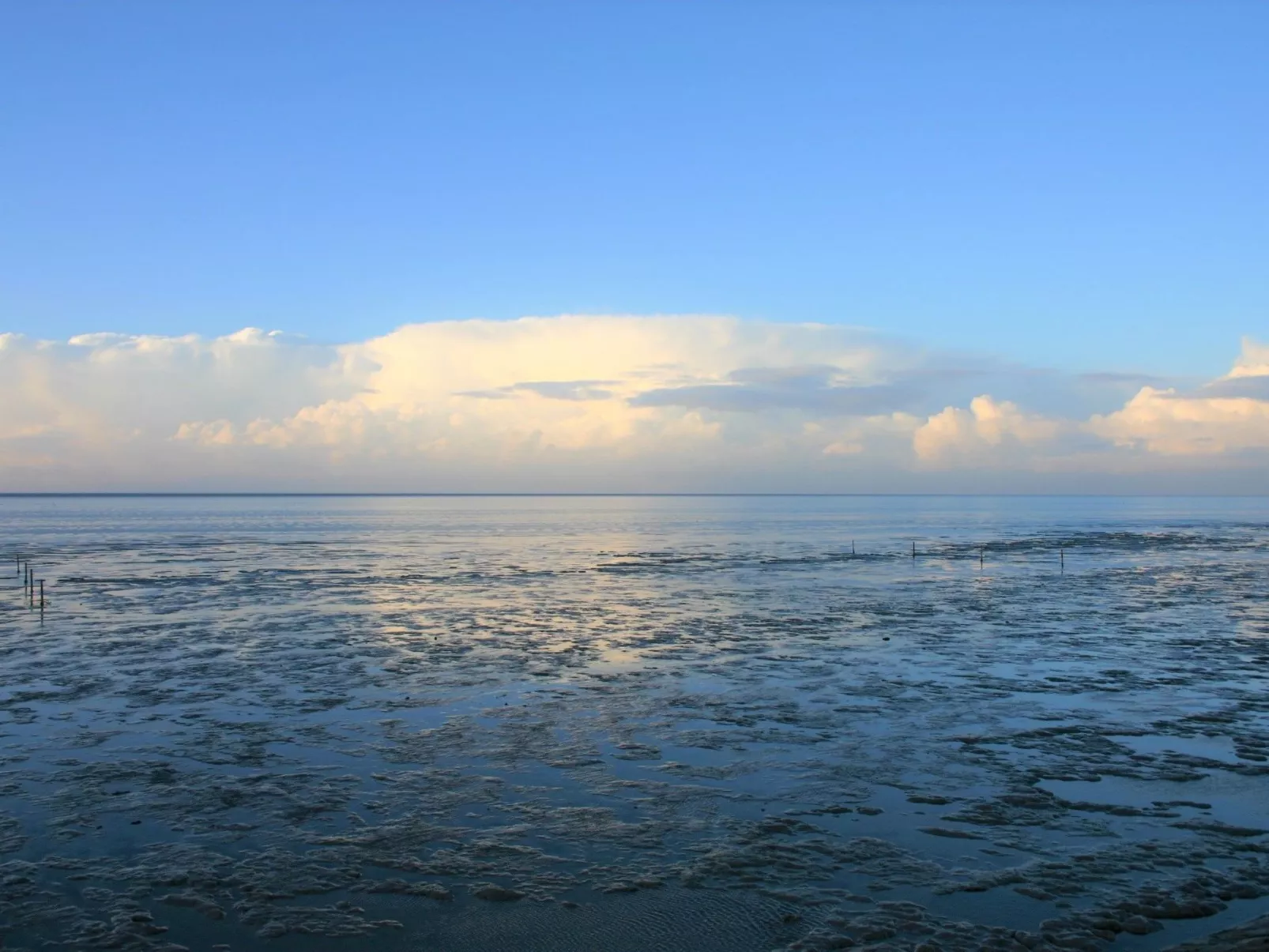 In Pilsum mit Großem Garten-Outside