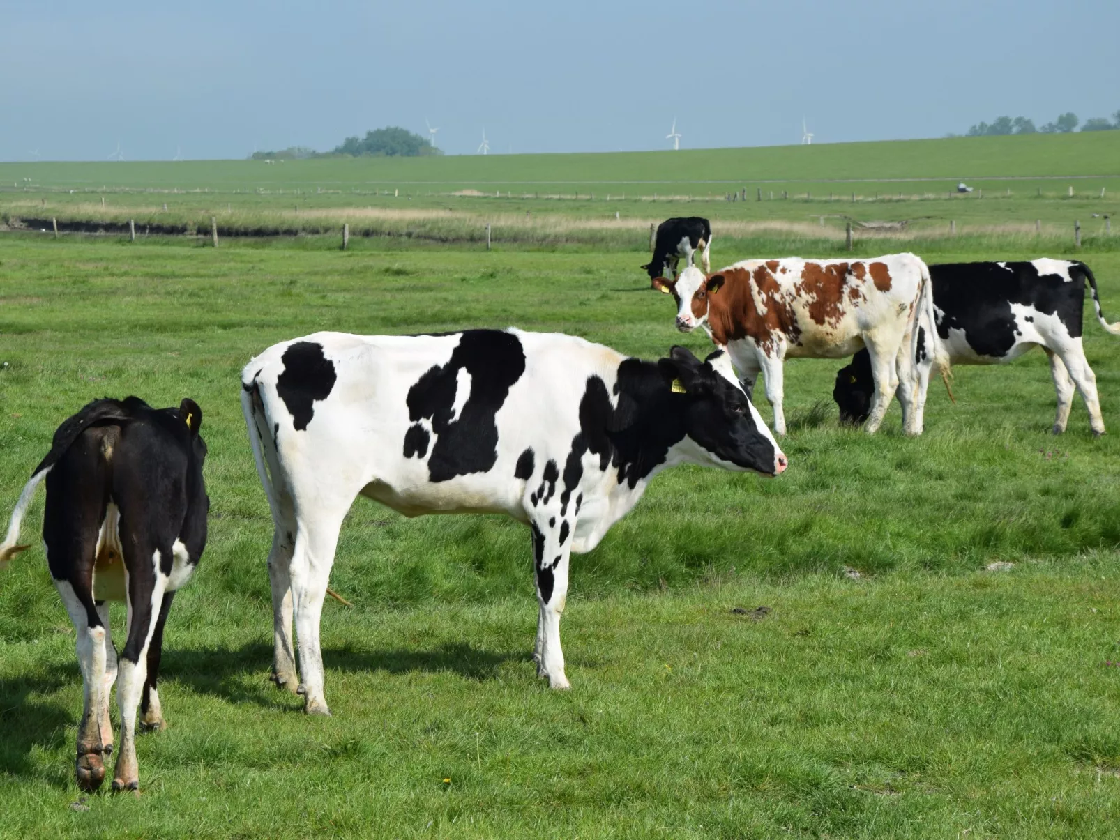 Sonnenblick-Draußen