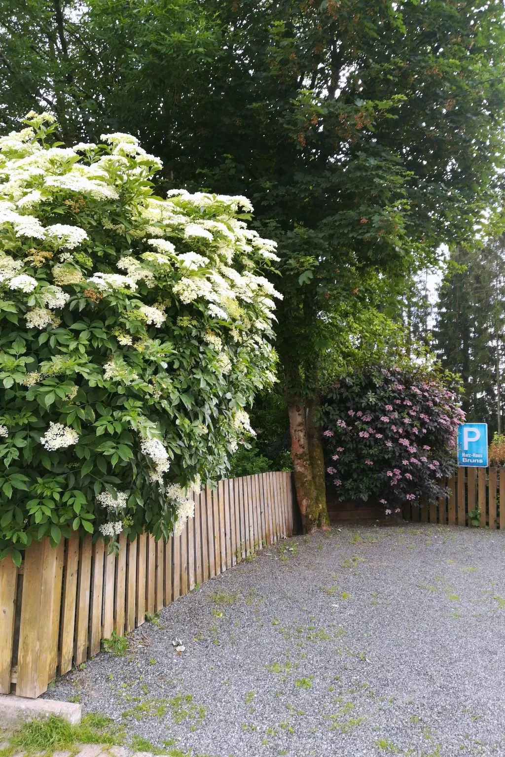 Harz-Haus-Bruns-Draußen