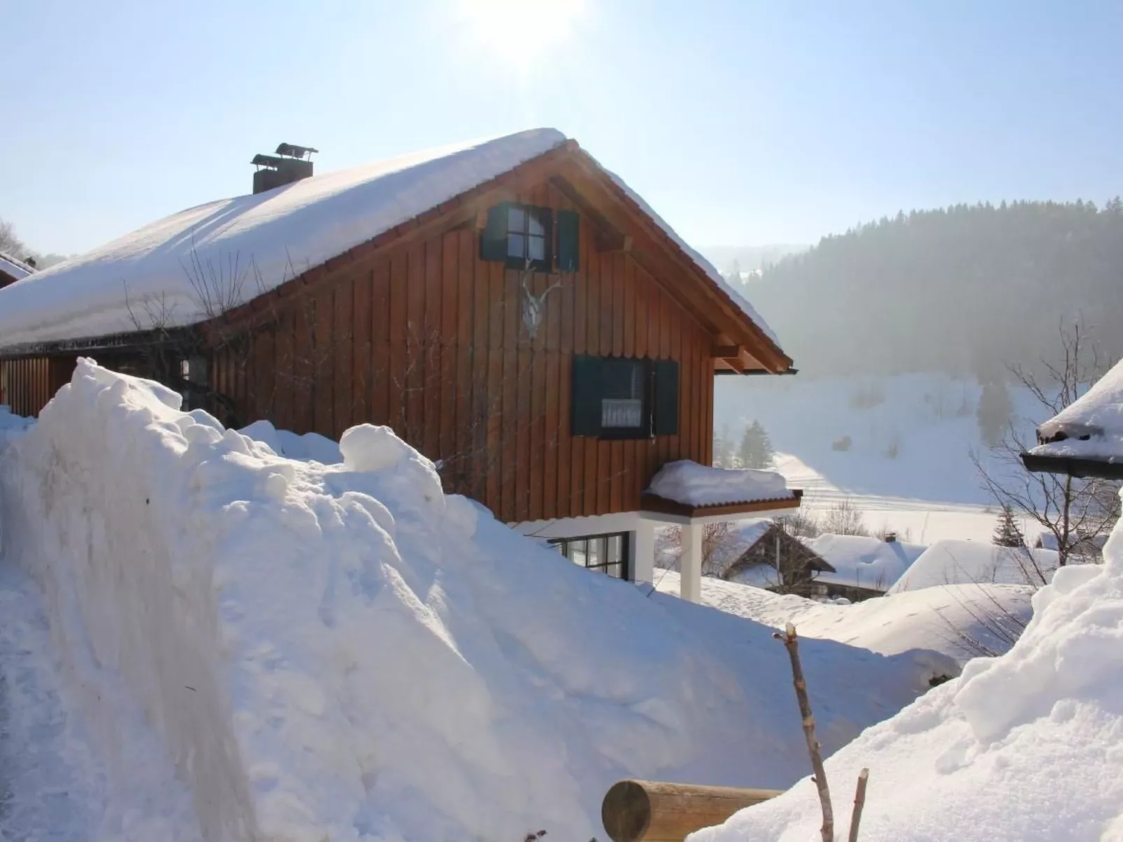 Alpkönig - Draußen