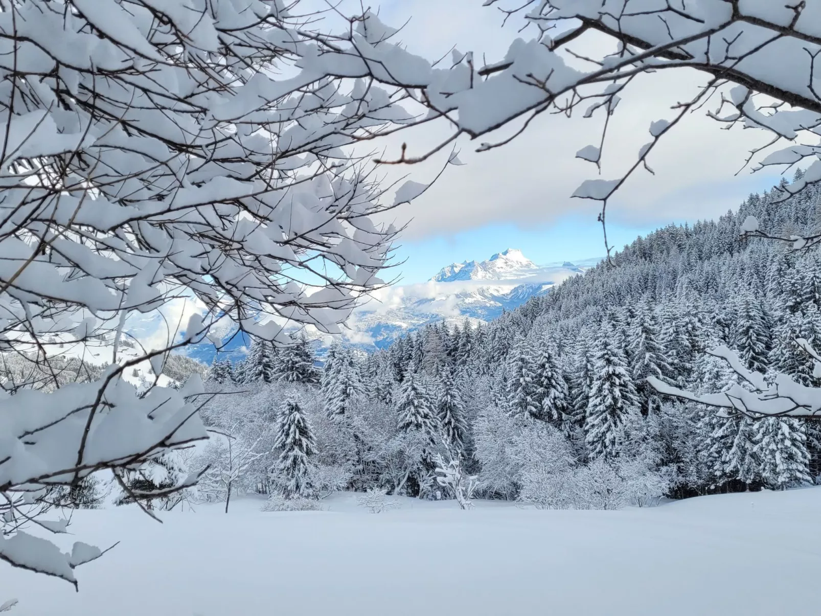 Chalet "Ecureuil" in den Portes du Soleil im Wallis-Outside